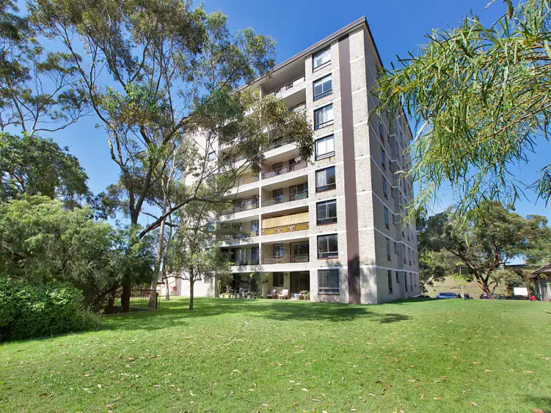 12/29-31 Paul Street, Bondi Junction Sold by Bradfield Badgerfox - image 1