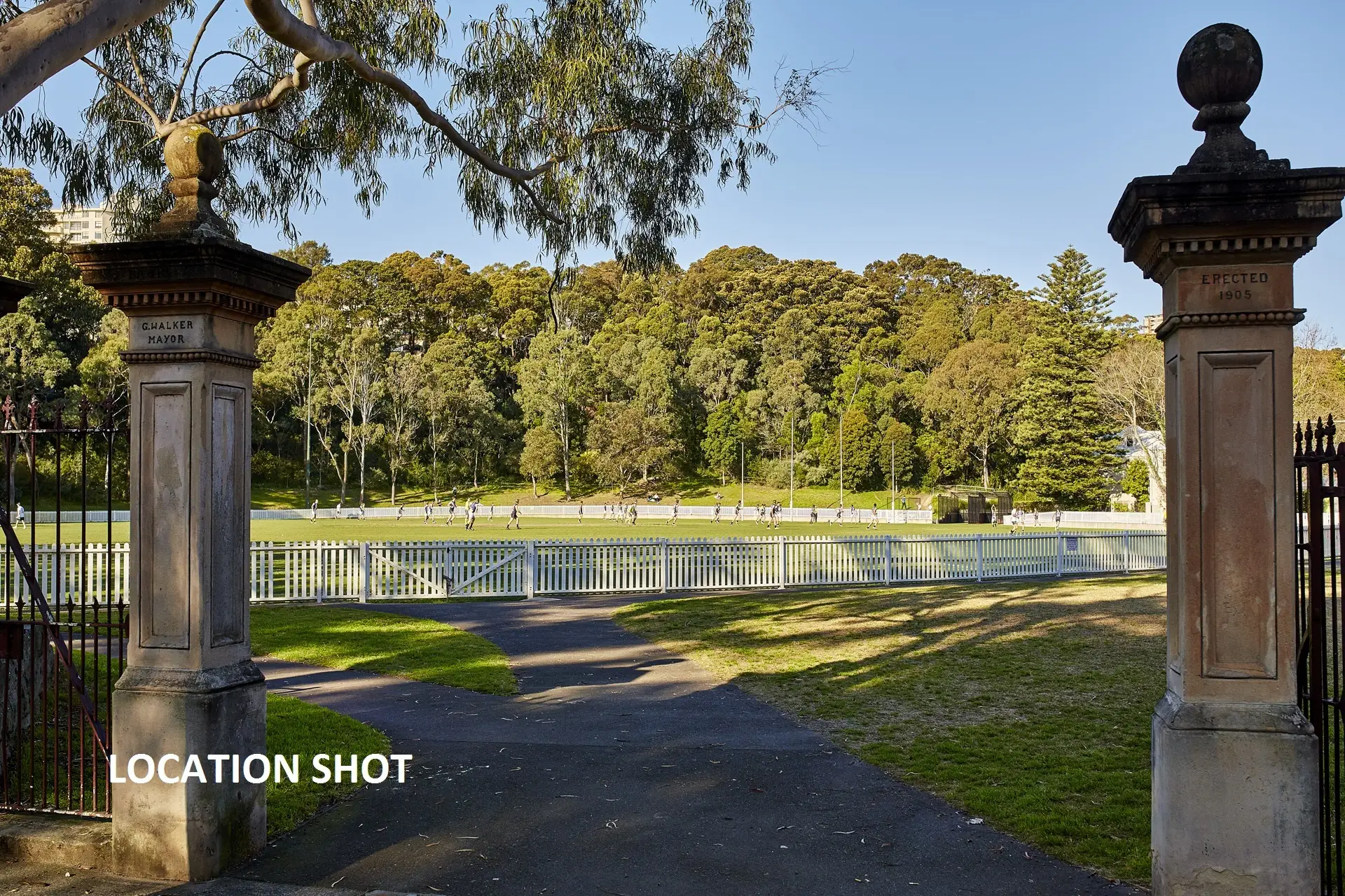 19/2 New McLean Street, Edgecliff Sold by Bradfield Badgerfox - image 1