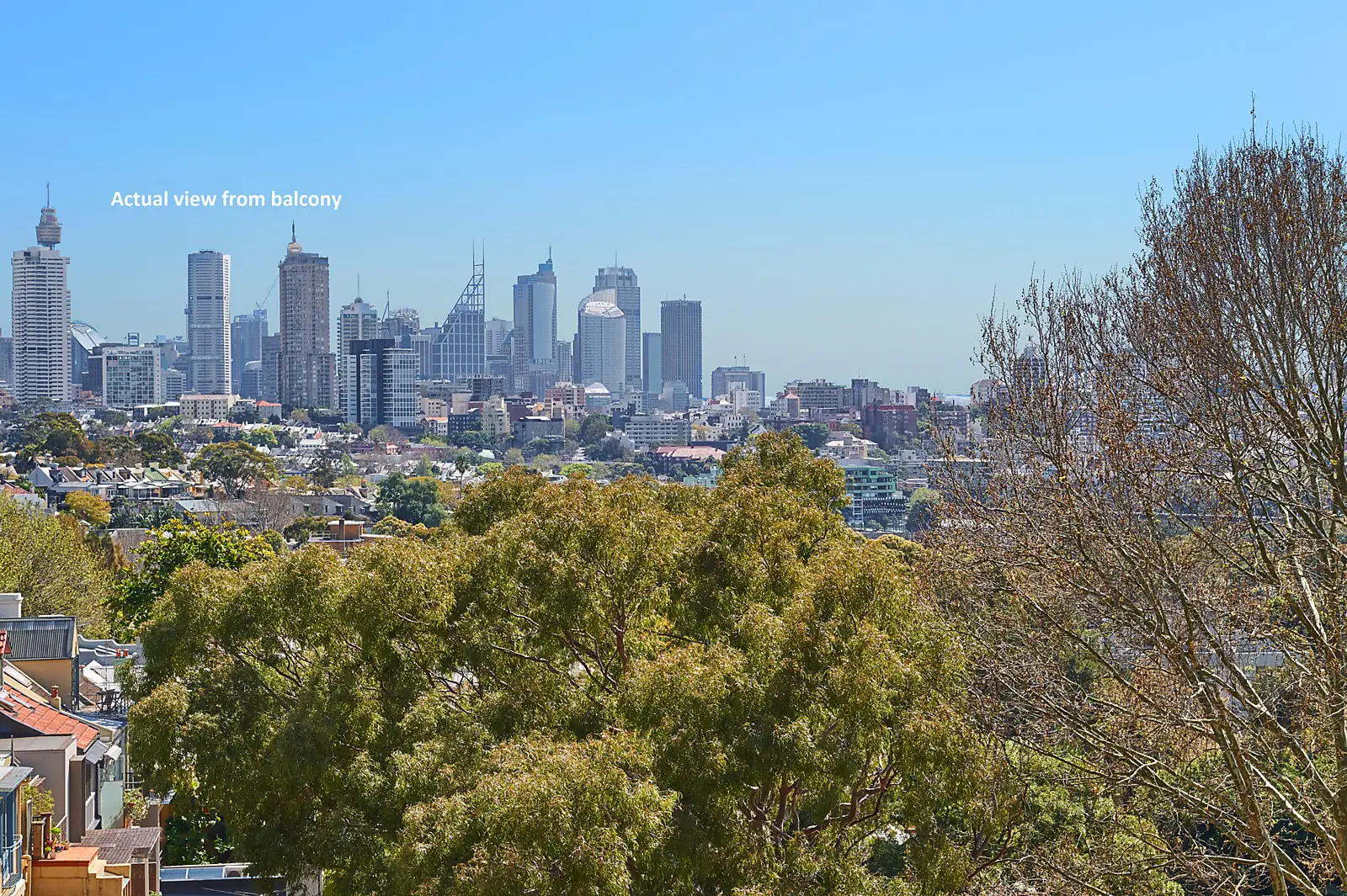 55/186 Sutherland Street, Paddington Sold by Bradfield Badgerfox - image 1