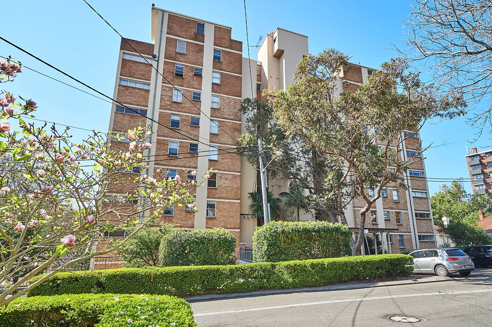 55/186 Sutherland Street, Paddington Sold by Bradfield Badgerfox - image 1