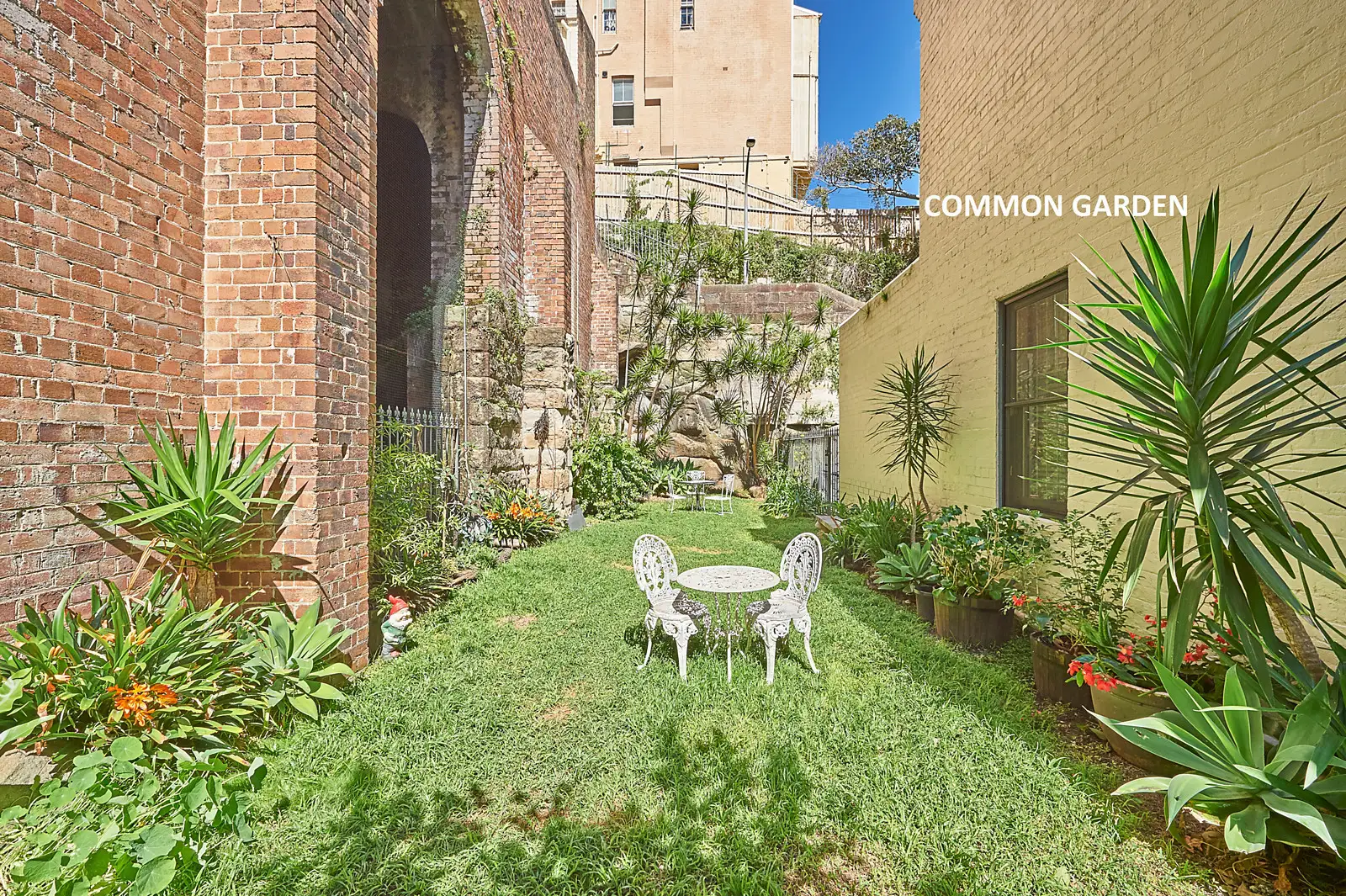 3 Rowena Place, Potts Point Sold by Bradfield Badgerfox - image 1