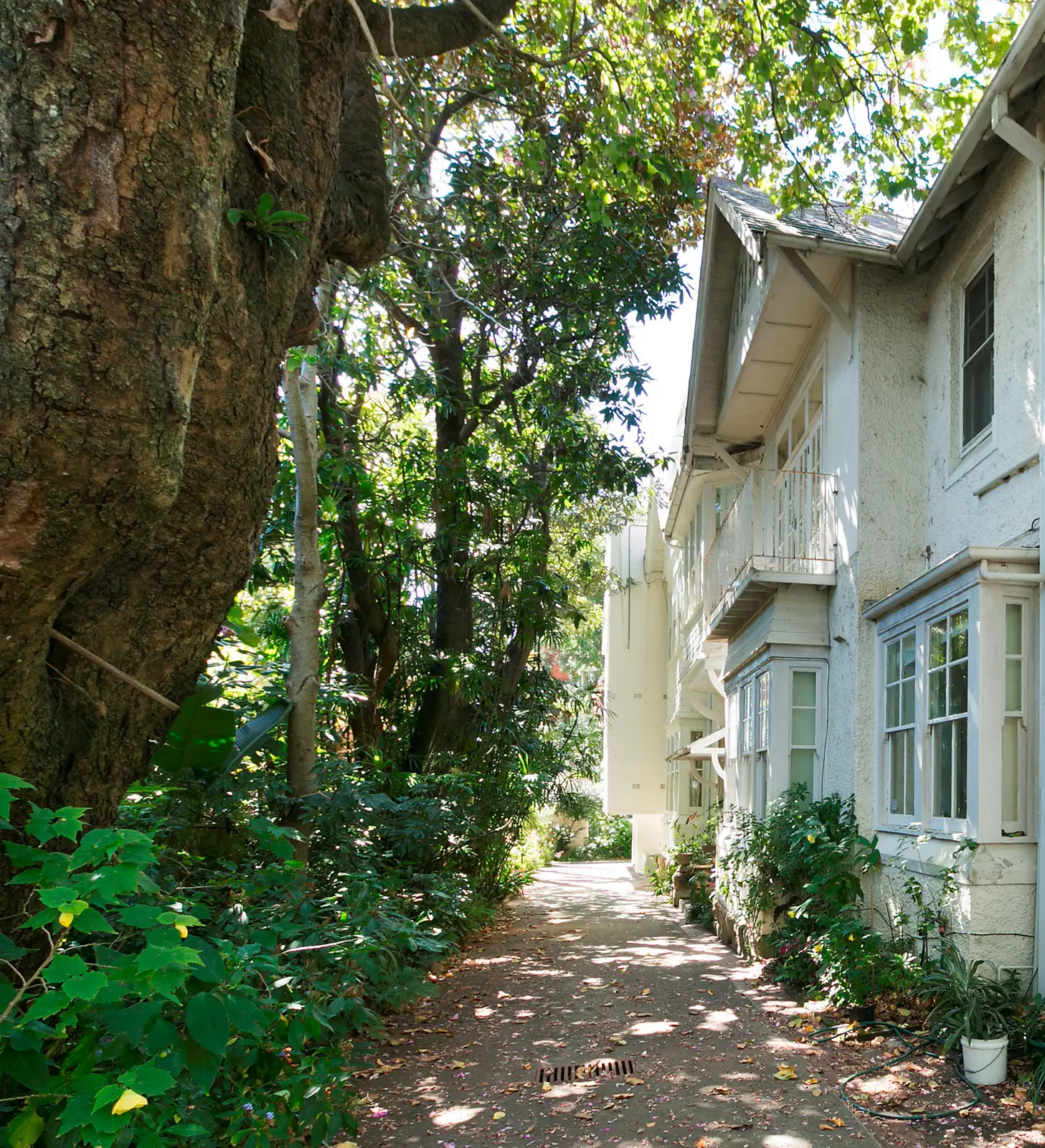 1/24 Rosemont Avenue, Woollahra Sold by Bradfield Badgerfox - image 1