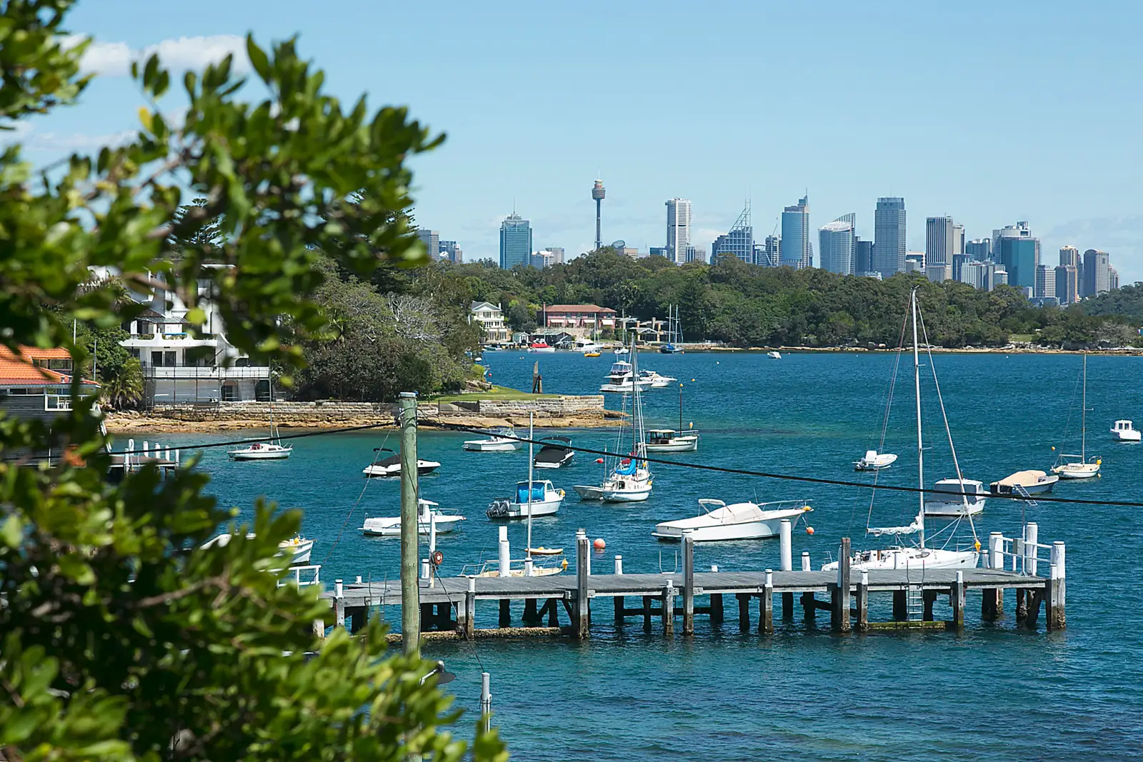 3 Salisbury Place, Watsons Bay Sold by Bradfield Badgerfox - image 1