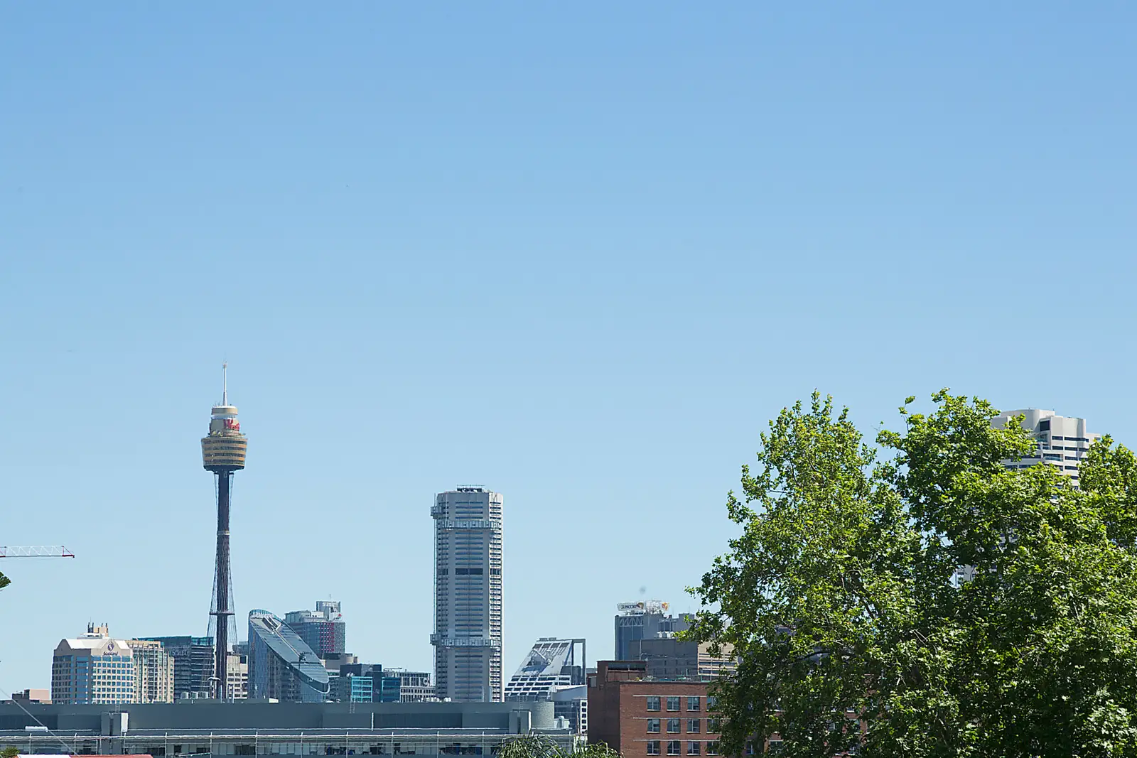 9/4 Young Street, Paddington Sold by Bradfield Badgerfox - image 1