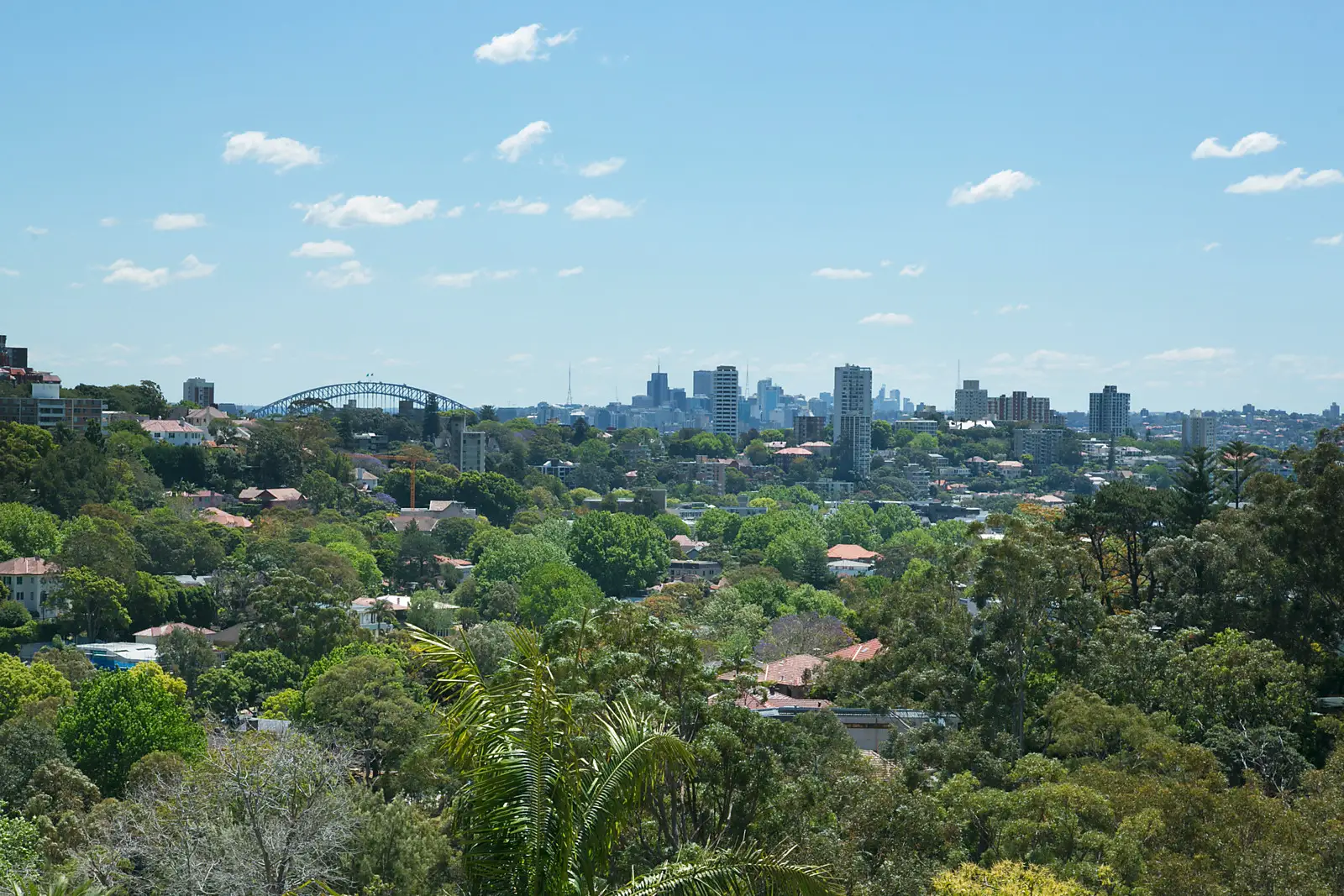 40 View Street, Woollahra Sold by Bradfield Badgerfox - image 1