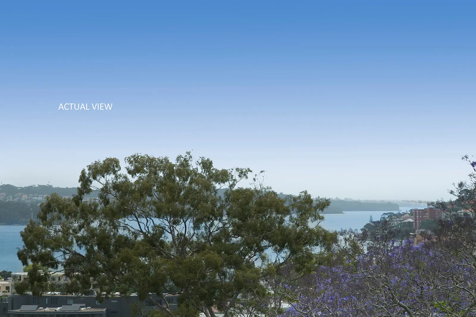 13/339 Edgecliff Road, Edgecliff Sold by Bradfield Badgerfox - image 1