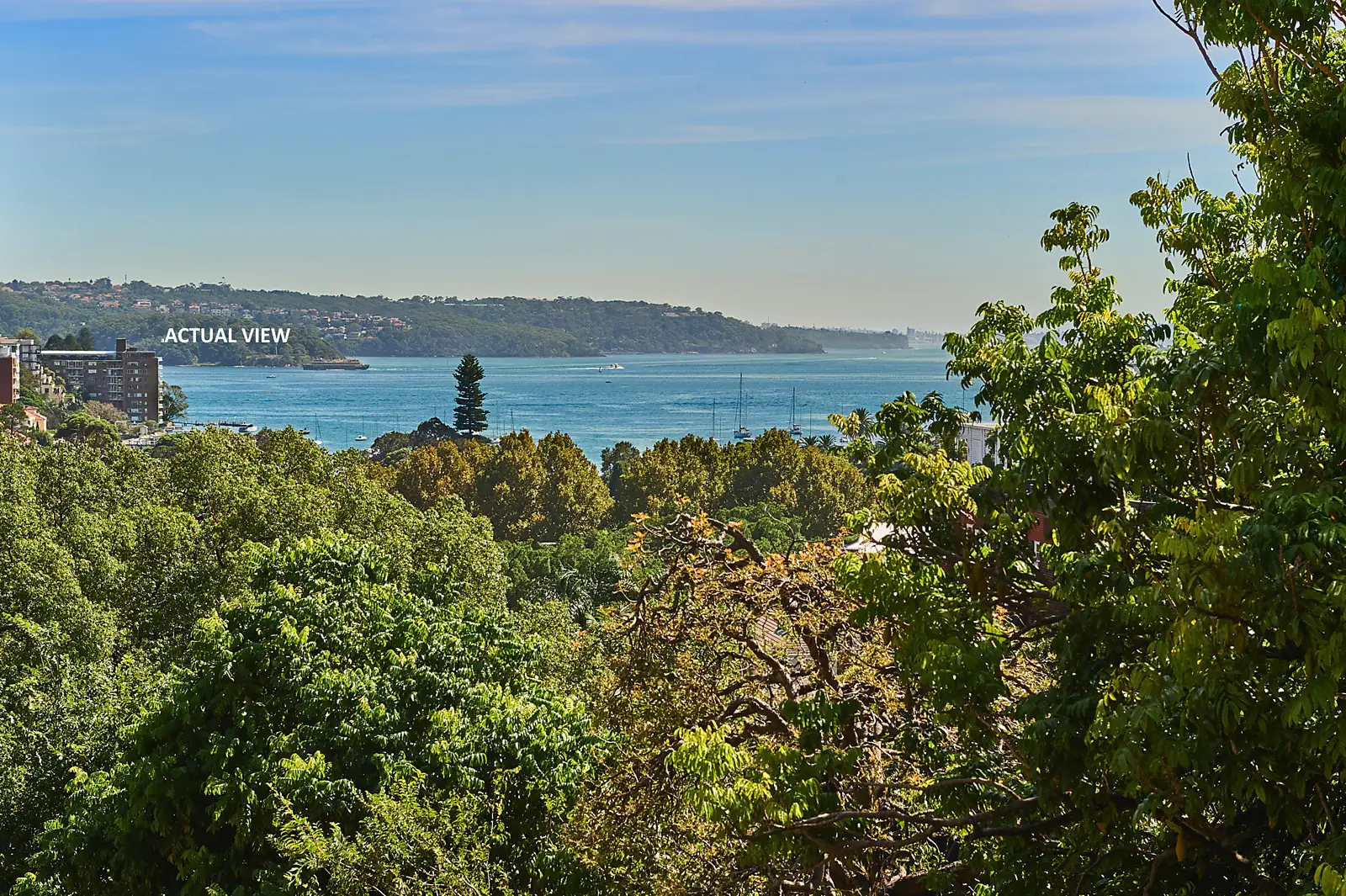 2/361 Edgecliff Road, Edgecliff Sold by Bradfield Badgerfox - image 1