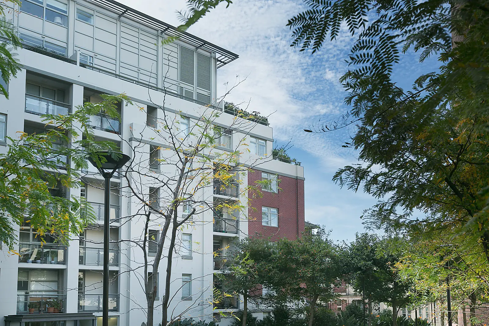 25/42 Flinton Street, Paddington Sold by Bradfield Badgerfox - image 1