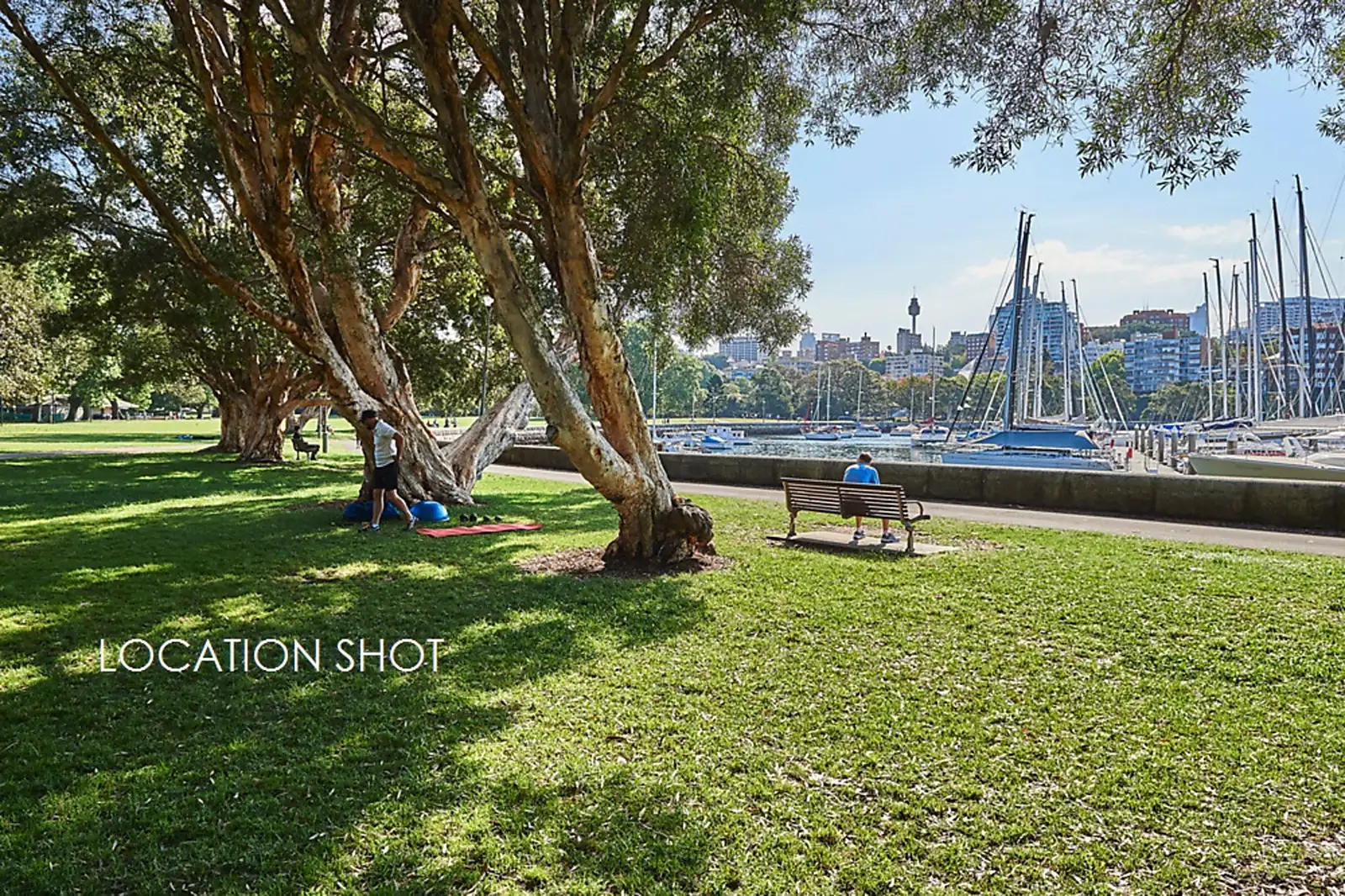 31/11 Yarranabbe Road, Darling Point Sold by Bradfield Badgerfox - image 1