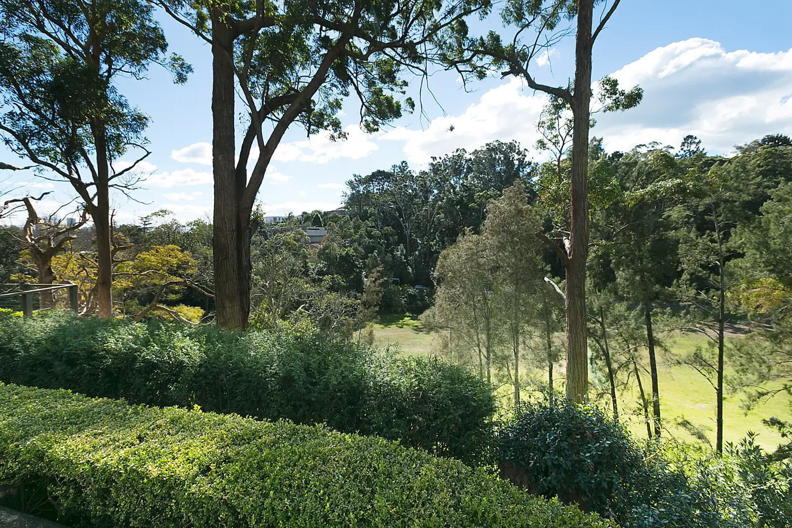 34 Edward Street, Woollahra Sold by Bradfield Badgerfox - image 1