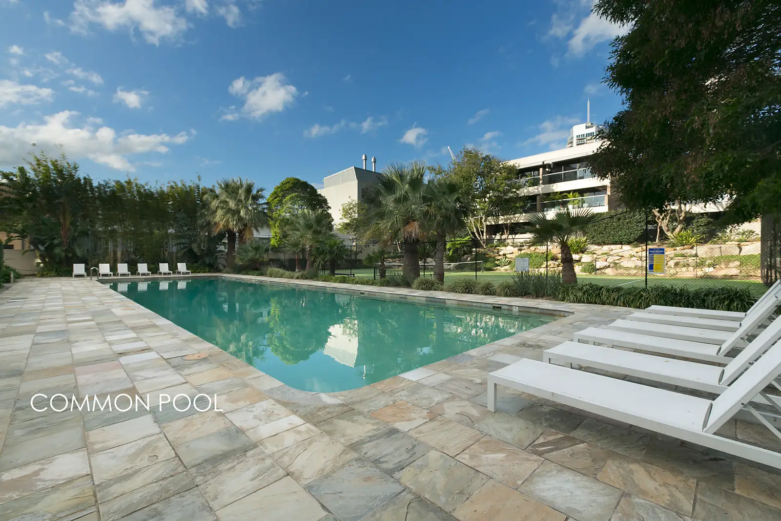 2506/184 Forbes Street, Darlinghurst Sold by Bradfield Badgerfox - image 1