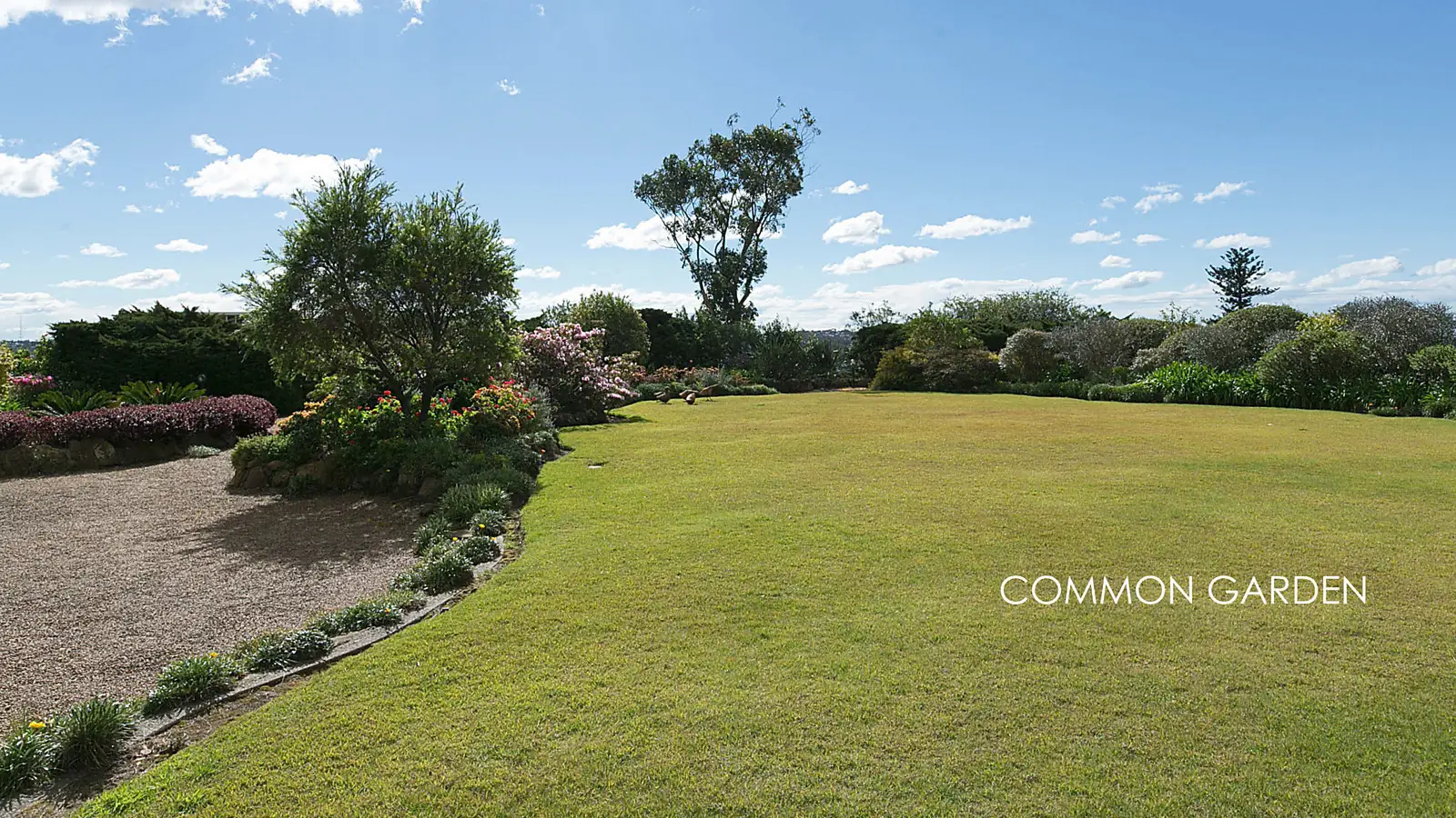 12A/5-11 Thornton Street, Darling Point Sold by Bradfield Badgerfox - image 1