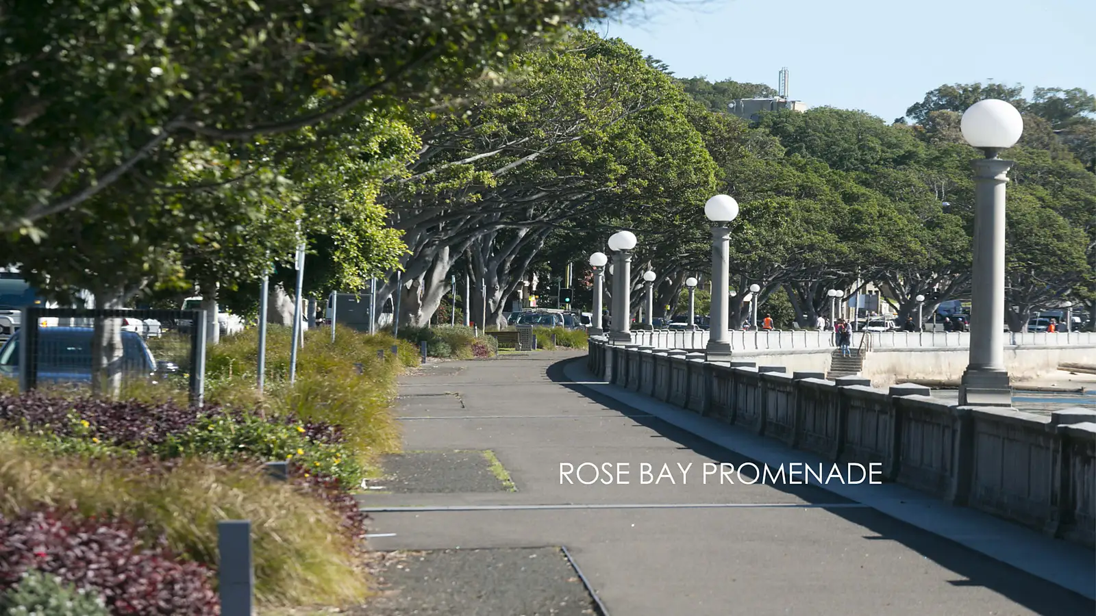 1/637 New South Head Road, Rose Bay Sold by Bradfield Badgerfox - image 1