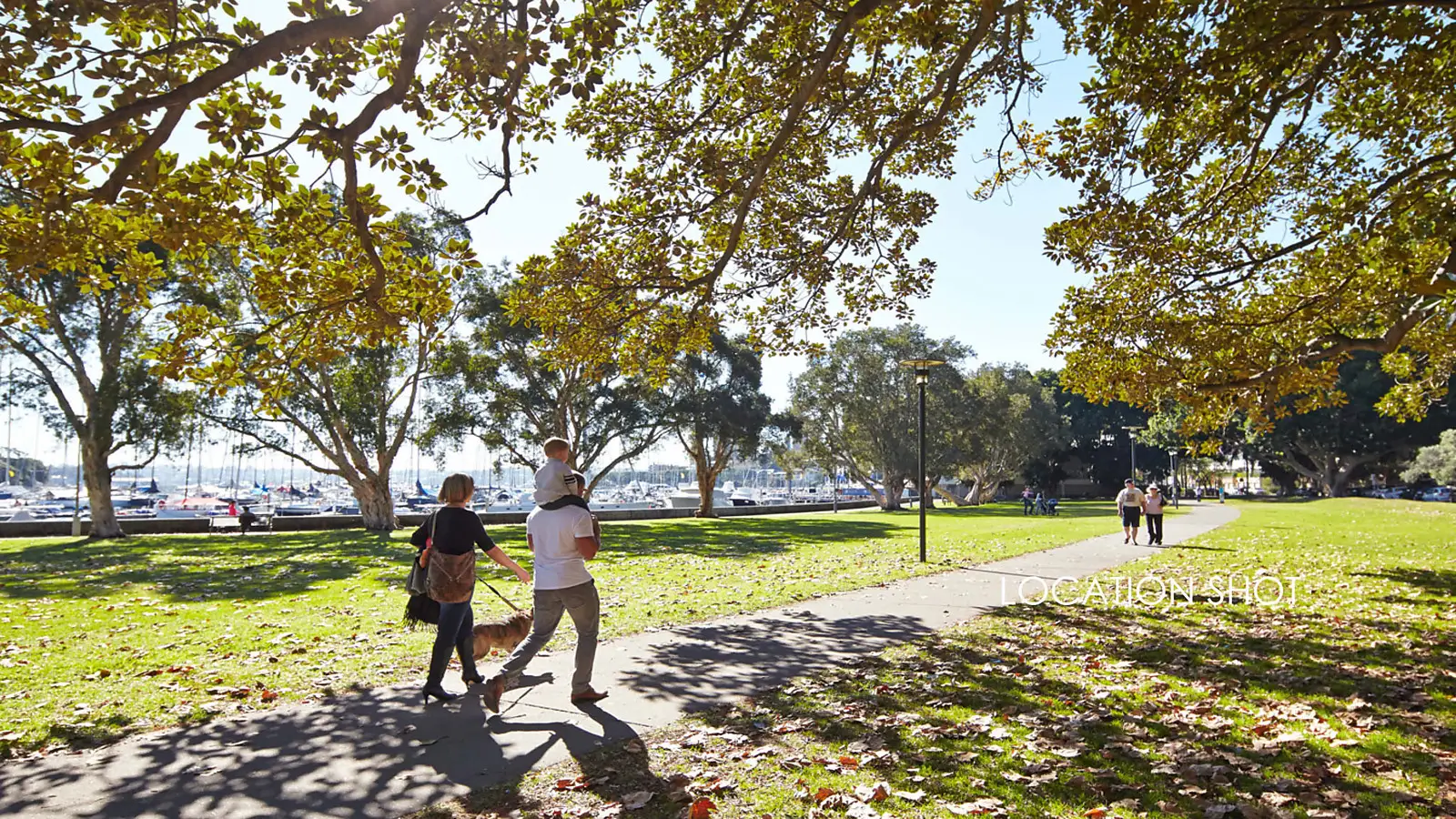 14/74 McLachlan Avenue, Rushcutters Bay Sold by Bradfield Badgerfox - image 1
