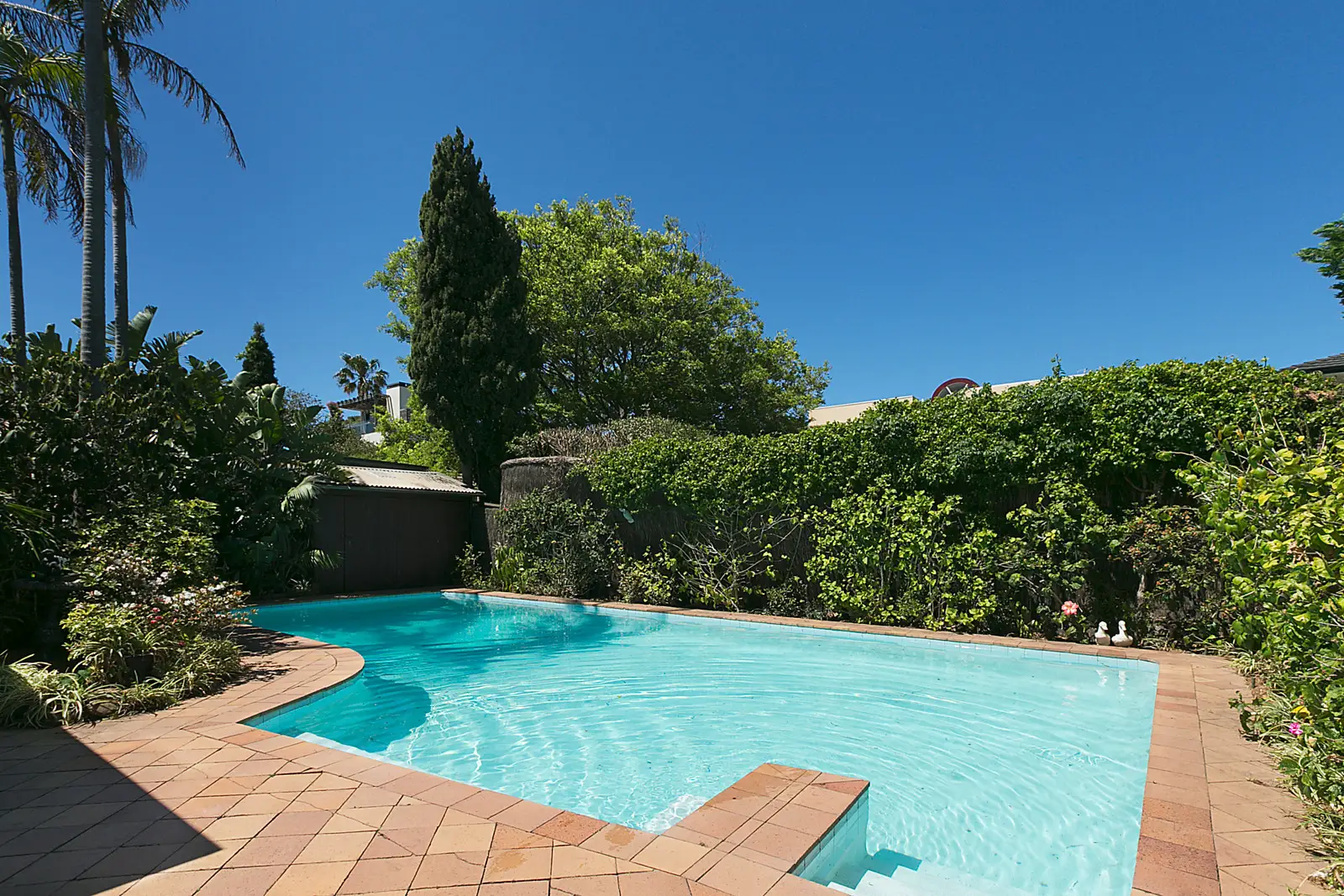 21 March Street, Bellevue Hill Sold by Bradfield Badgerfox - image 1