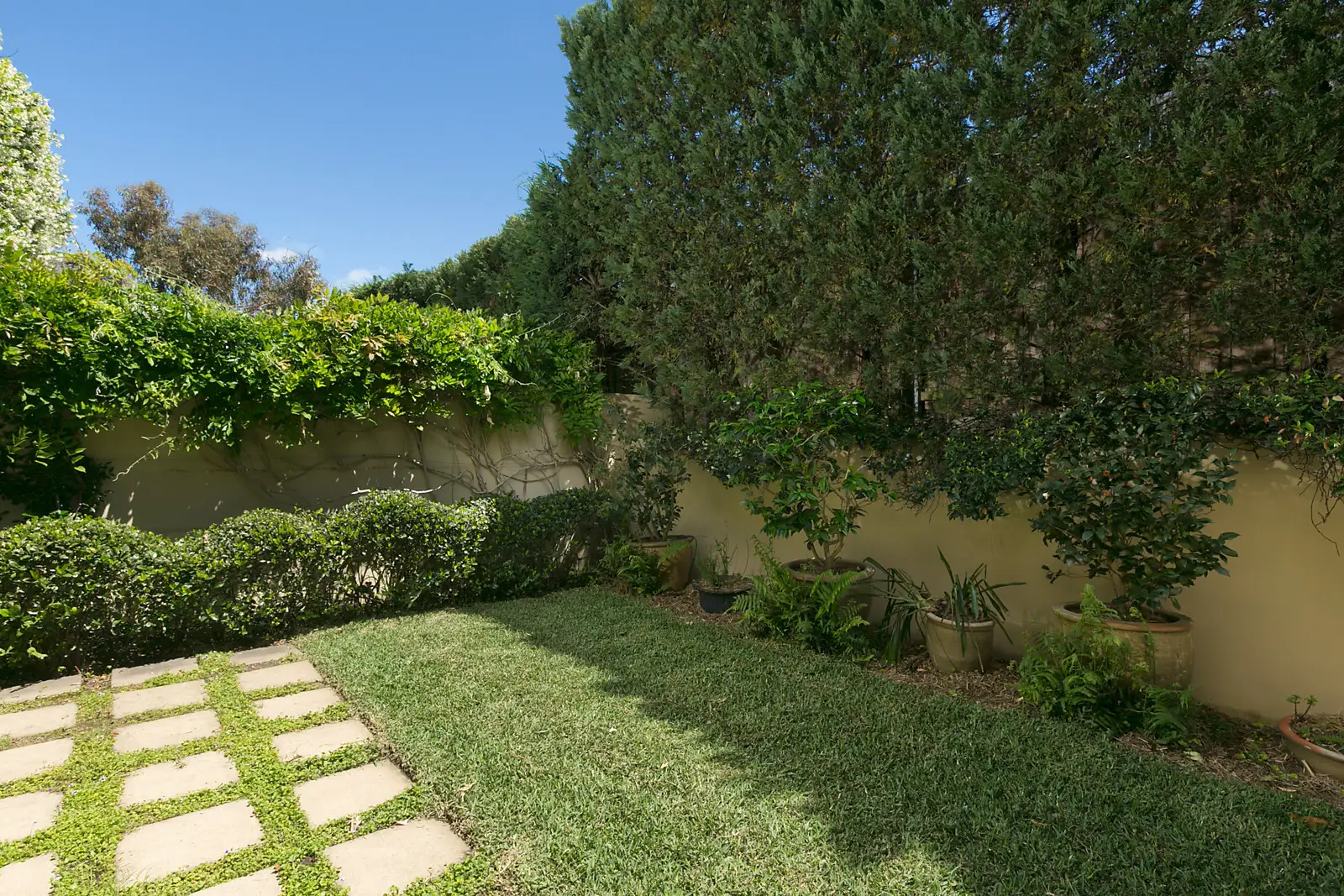 60D Ocean Street, Woollahra Sold by Bradfield Badgerfox - image 1