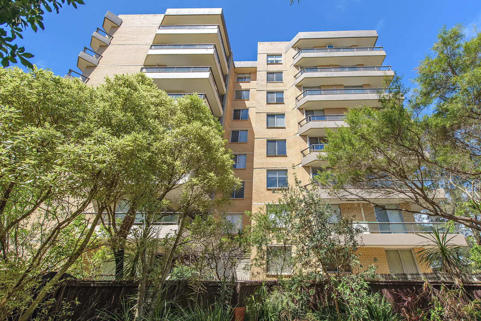 11/37 Paul Street, Bondi Junction Sold by Bradfield Badgerfox - image 1