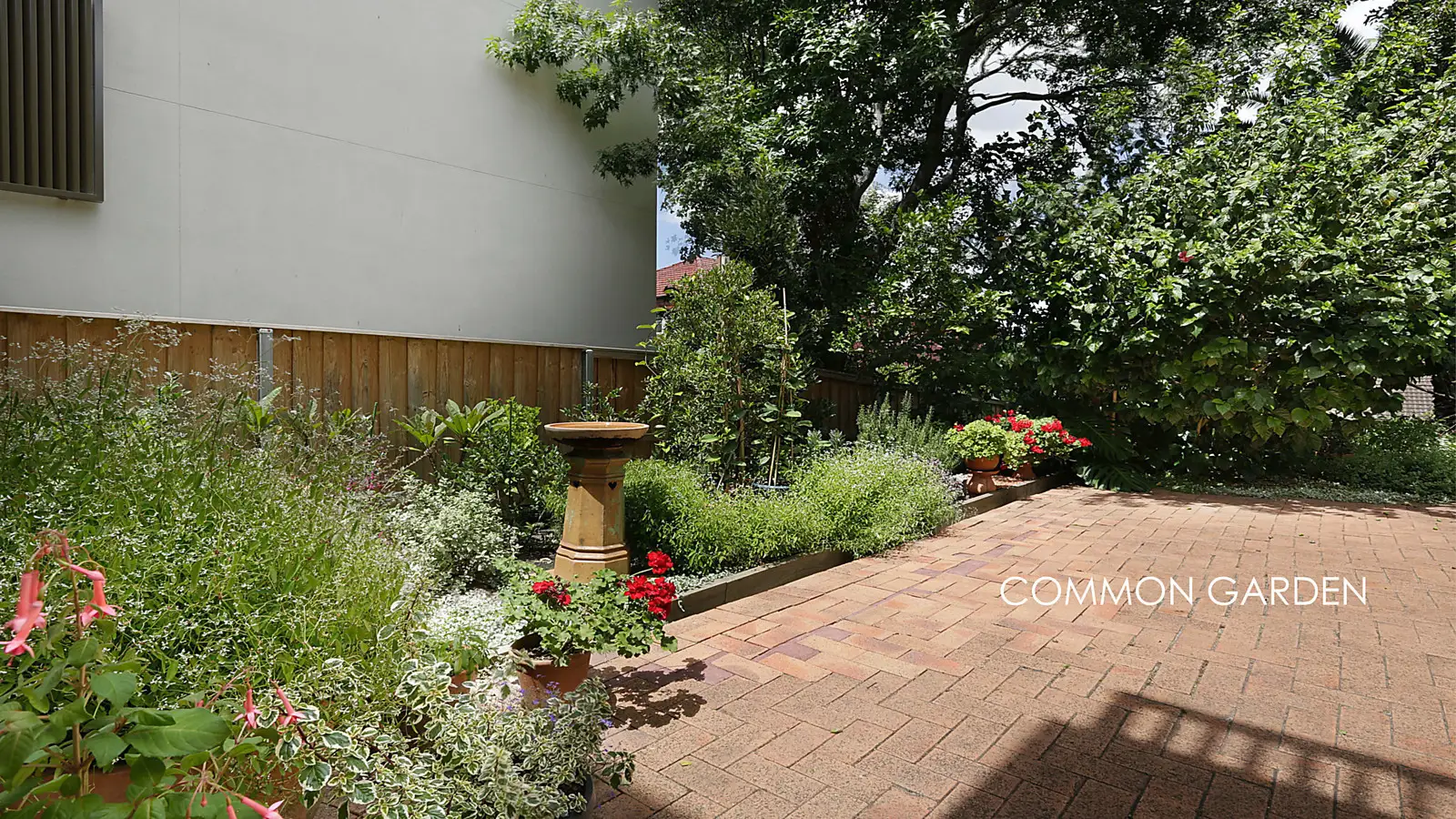 3/3 Hamilton Street, Rose Bay Sold by Bradfield Badgerfox - image 1