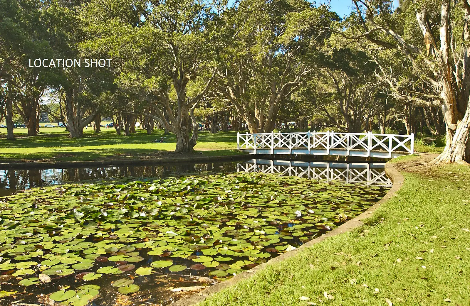 15 Darling Street, Kensington Sold by Bradfield Badgerfox - image 1