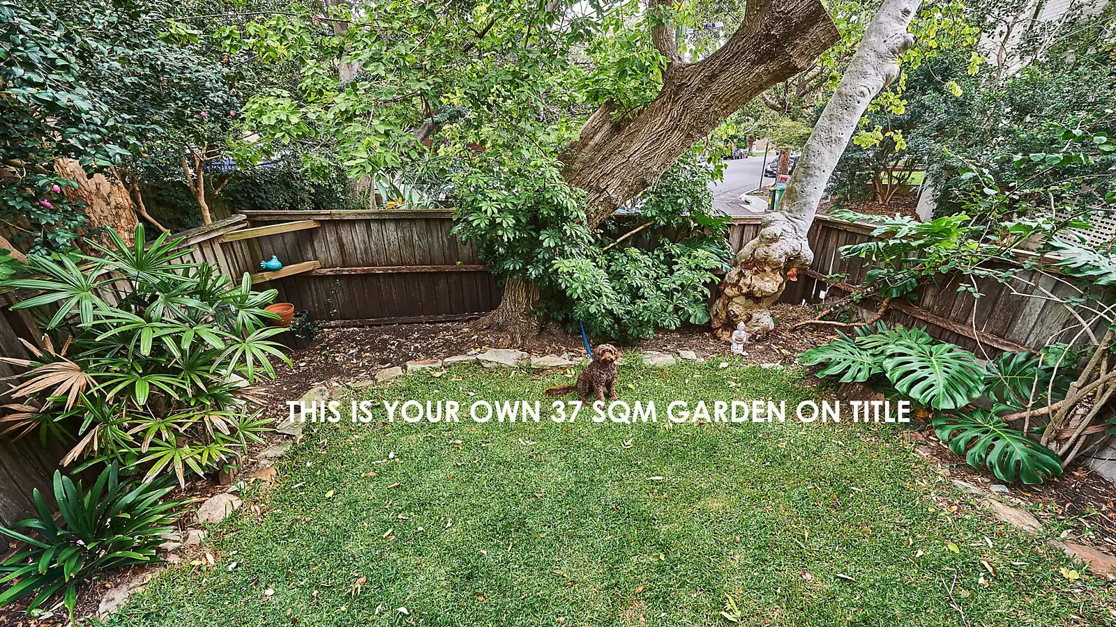 1/8 Furber Road, Centennial Park Sold by Bradfield Badgerfox - image 1