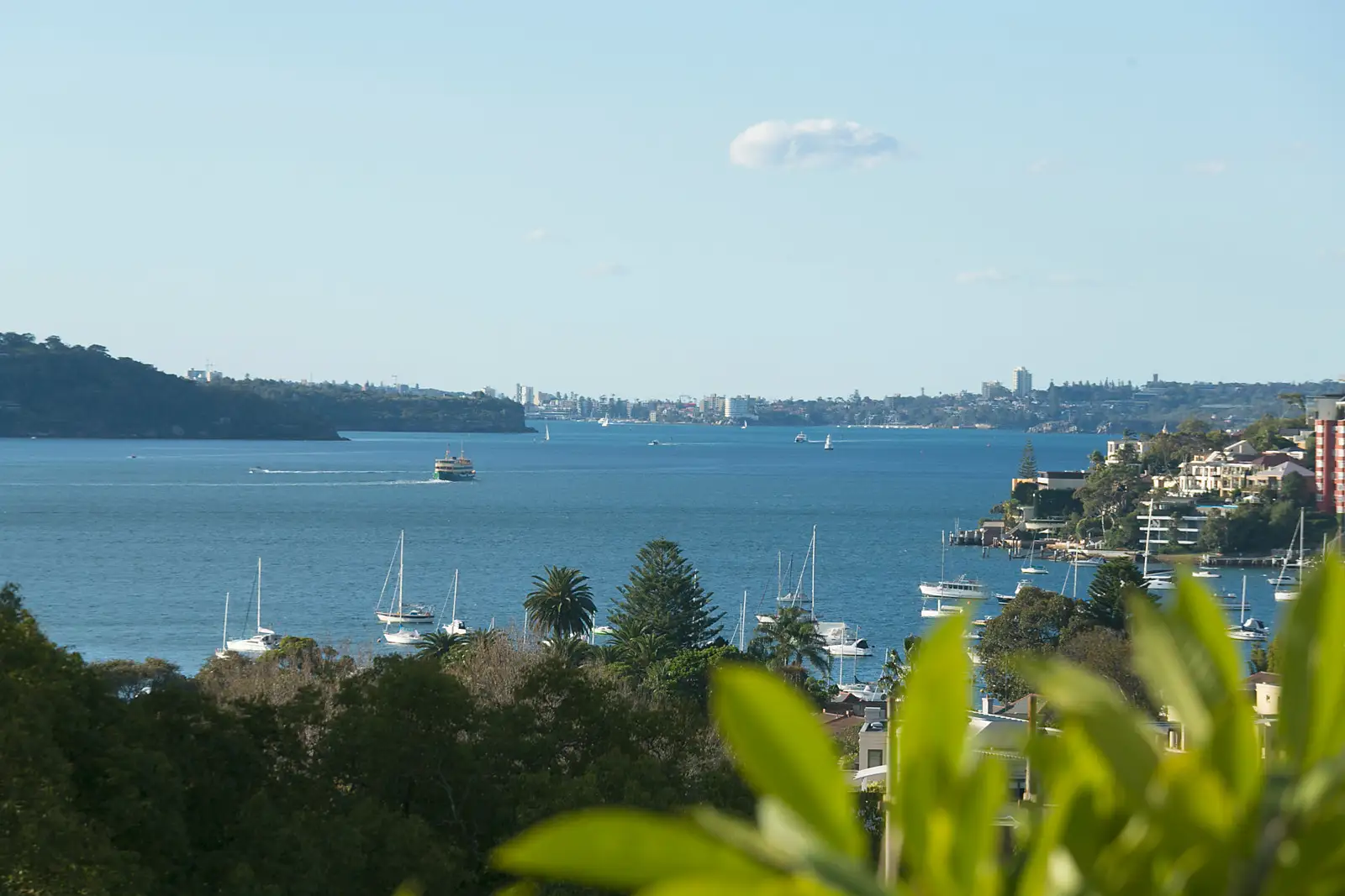 1/363 Edgecliff Road, Edgecliff Sold by Bradfield Badgerfox - image 1