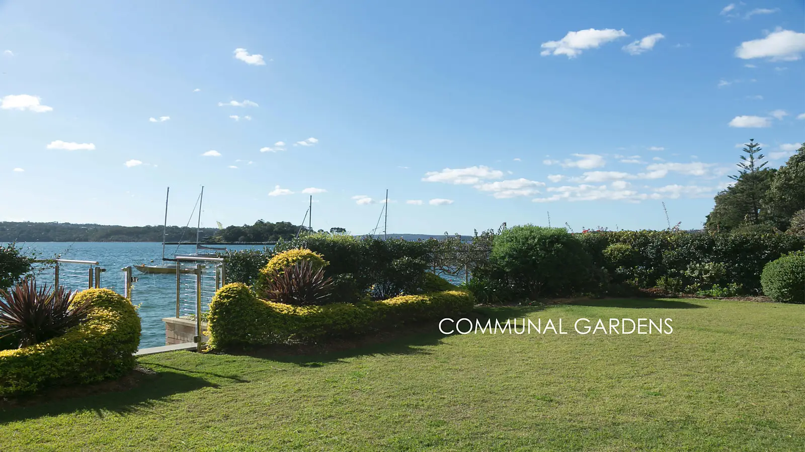 110/87-97 Yarranabbe Road, Darling Point Sold by Bradfield Badgerfox - image 1