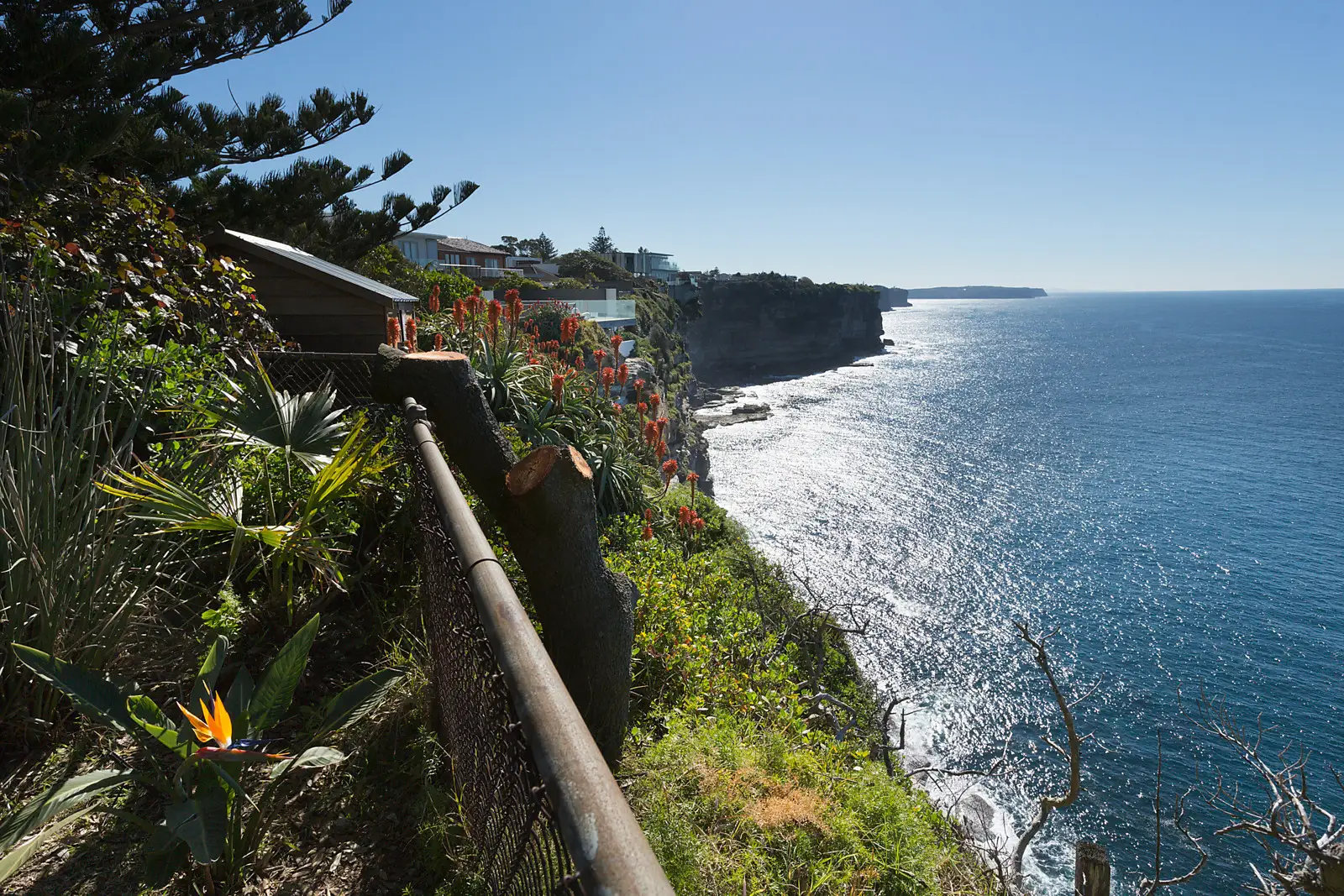 36 Wentworth Street, Dover Heights Sold by Bradfield Badgerfox - image 1