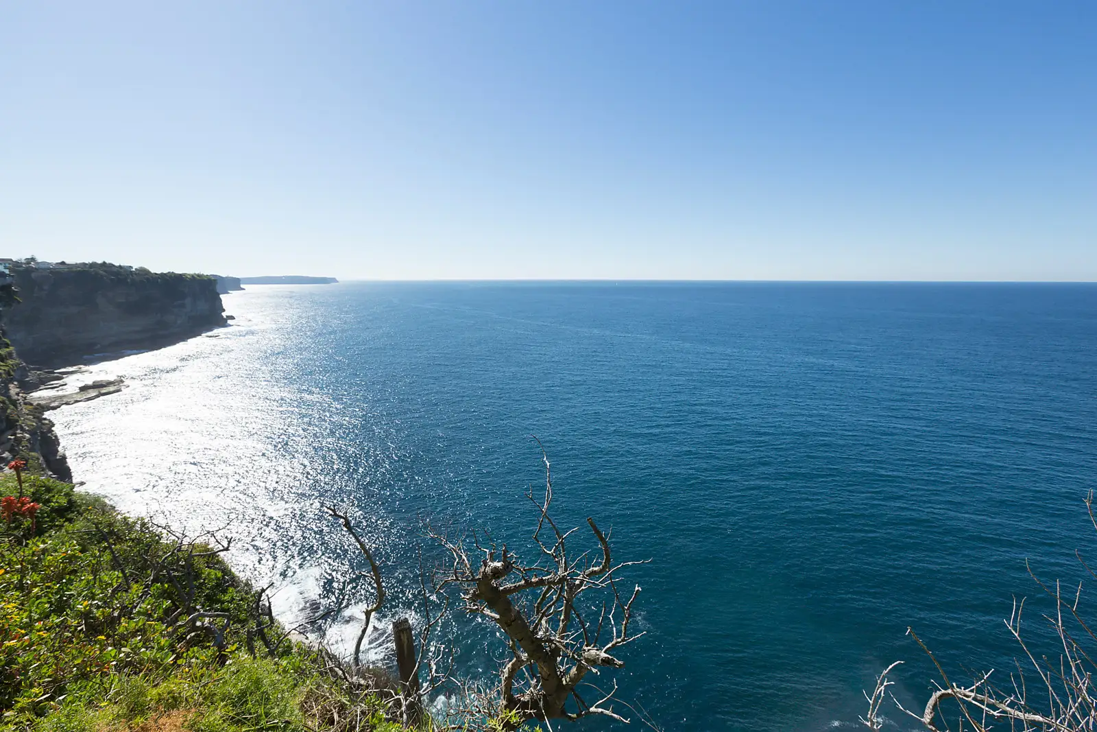 36 Wentworth Street, Dover Heights Sold by Bradfield Badgerfox - image 1