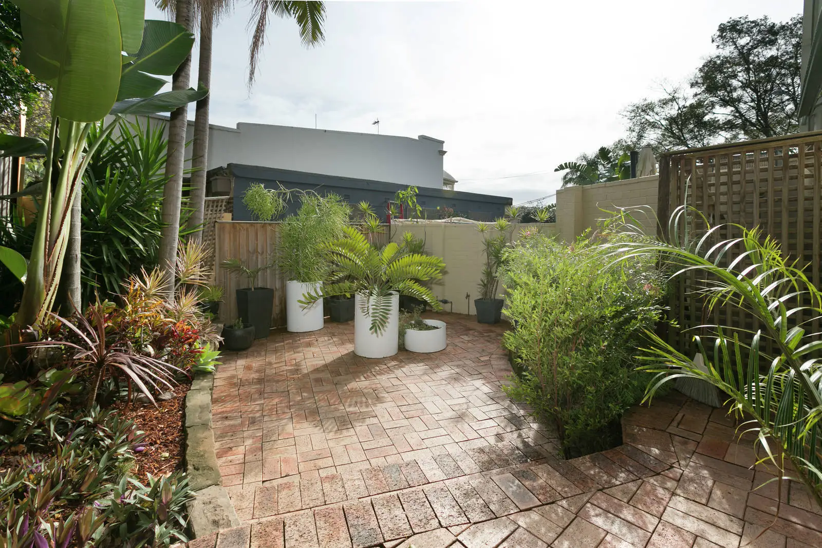 290 Glenmore Road, Paddington Sold by Bradfield Badgerfox - image 1