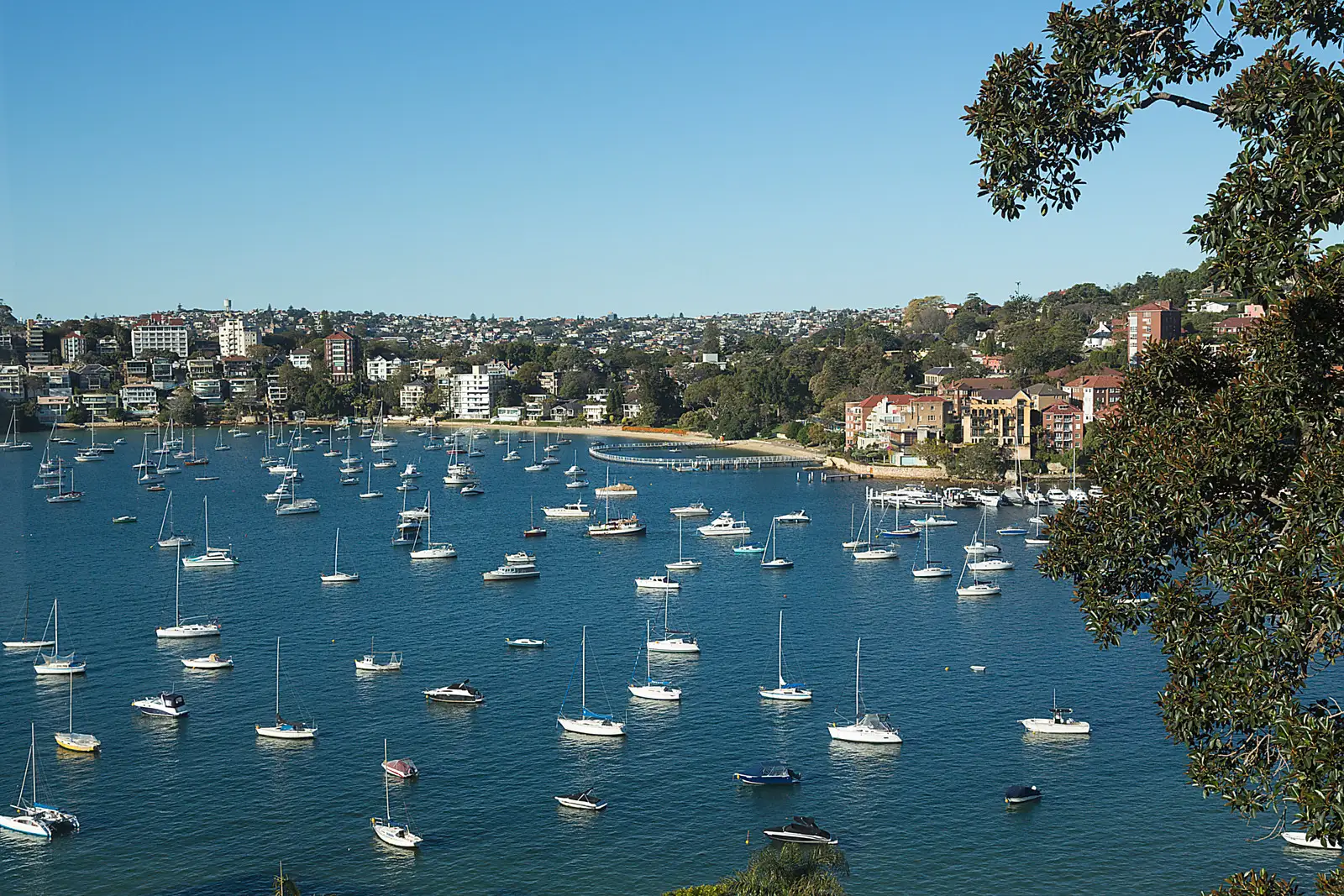 18/16-18 Eastbourne Road, Darling Point Sold by Bradfield Badgerfox - image 1