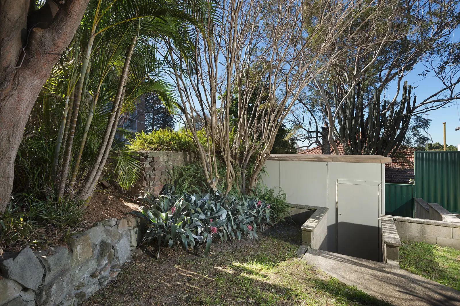 73 St Marks Road, Randwick Sold by Bradfield Badgerfox - image 1