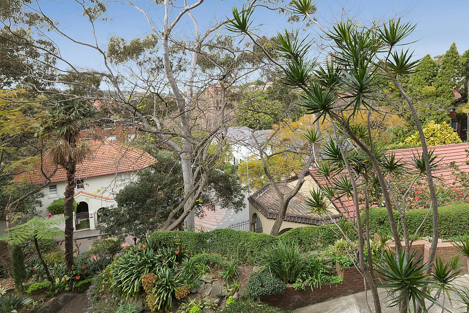 1/23 Greenoaks Avenue, Darling Point Sold by Bradfield Badgerfox - image 1