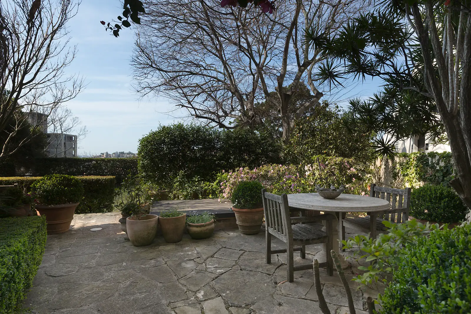 2/343 Edgecliff Road, Edgecliff Sold by Bradfield Badgerfox - image 1