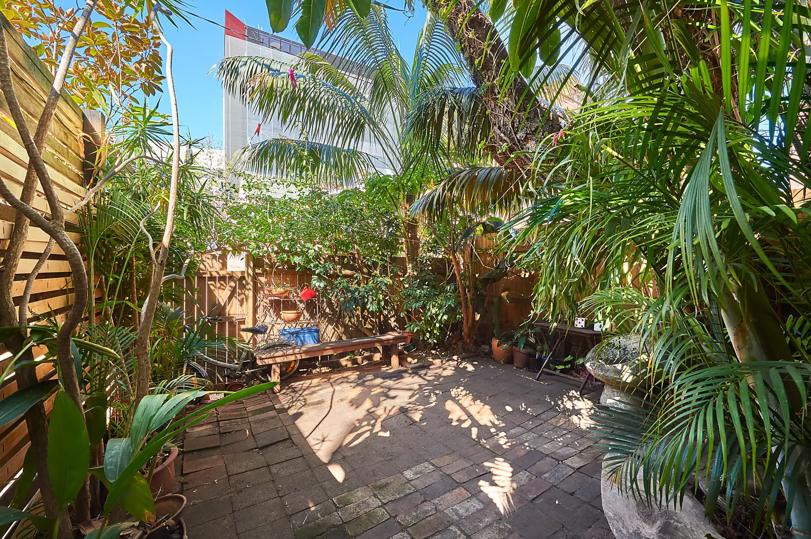 28 Hardie Street, Darlinghurst Sold by Bradfield Badgerfox - image 1