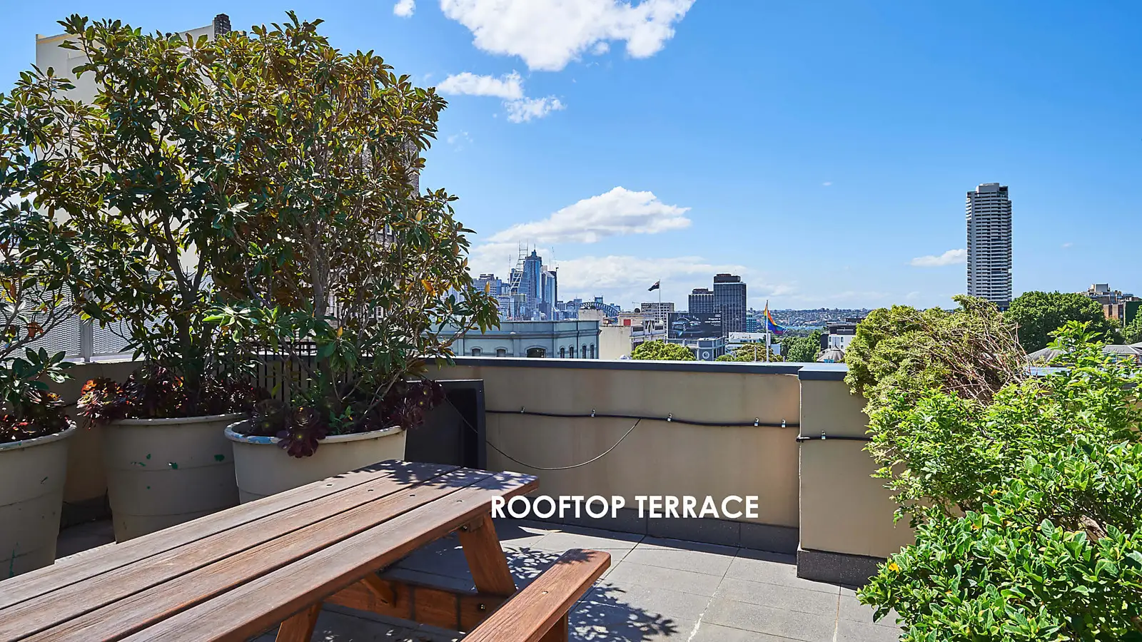 9/11-21 Flinders Street, Surry Hills Sold by Bradfield Badgerfox - image 1
