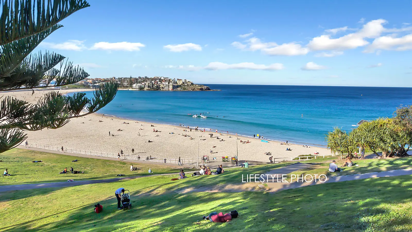 10 Patterson Street, North Bondi Sold by Bradfield Badgerfox - image 1