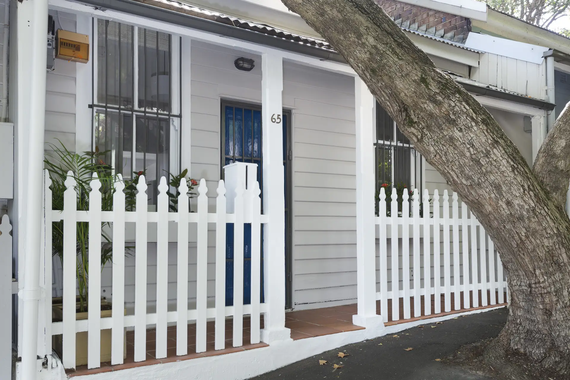 65 Cameron Street, Edgecliff Sold by Bradfield Badgerfox - image 1