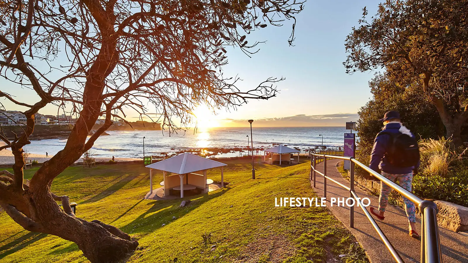 14 Henrietta Street, Waverley Sold by Bradfield Badgerfox - image 1