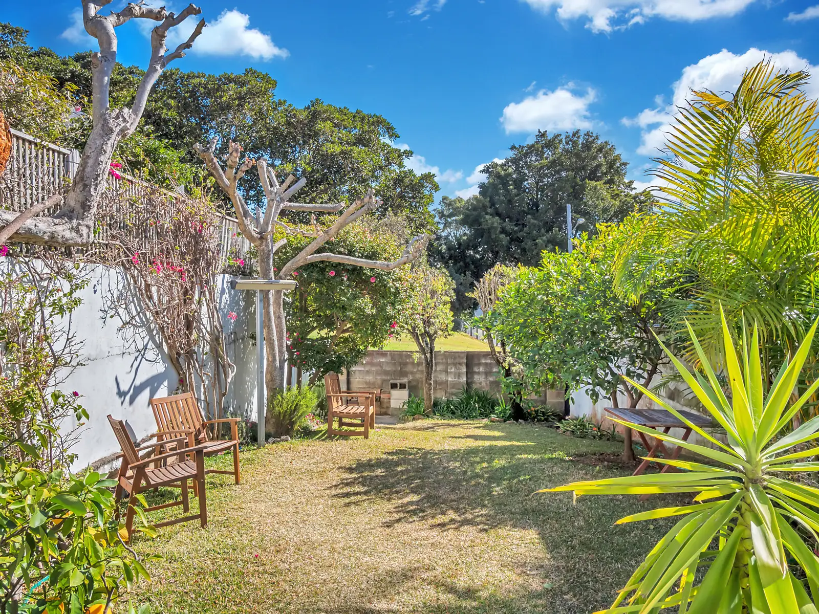 12 Small Street, Woollahra Sold by Bradfield Badgerfox - image 1