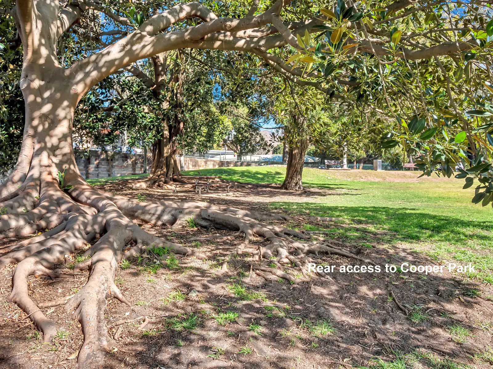 12 Small Street, Woollahra Sold by Bradfield Badgerfox - image 1
