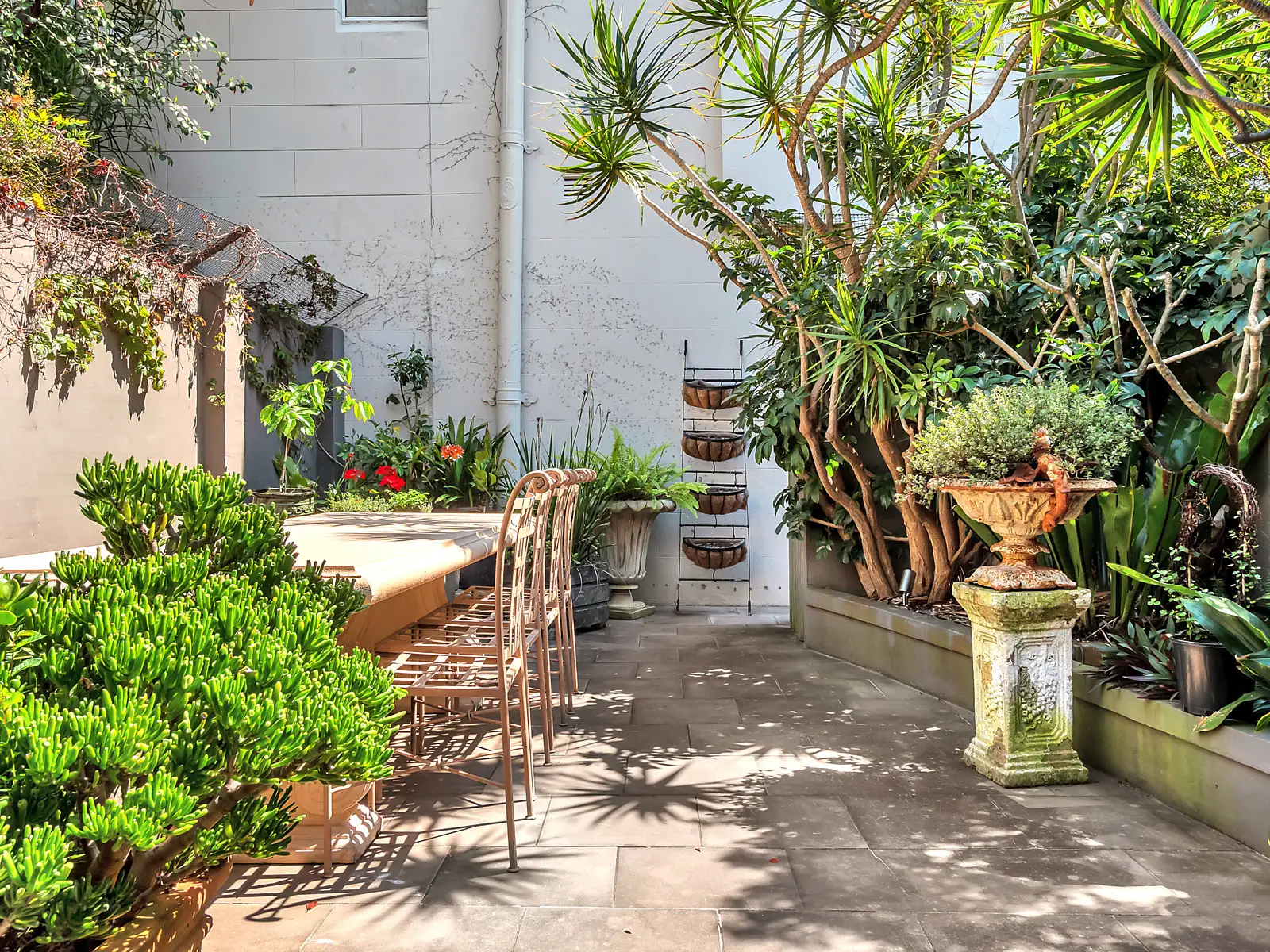 54 Cascade Street, Paddington Sold by Bradfield Badgerfox - image 1