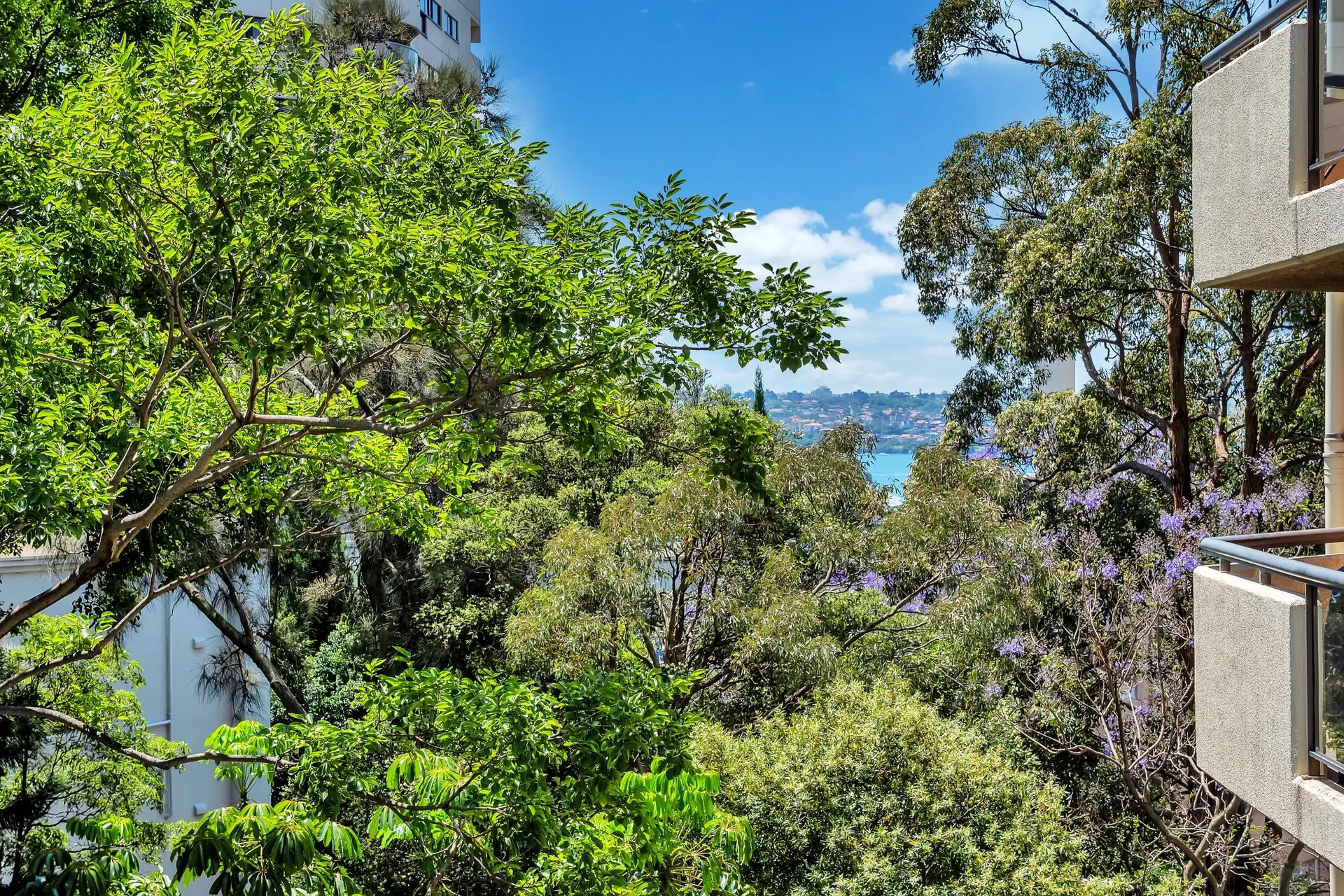 38/1 Tewkesbury Avenue, Darlinghurst Sold by Bradfield Badgerfox - image 1