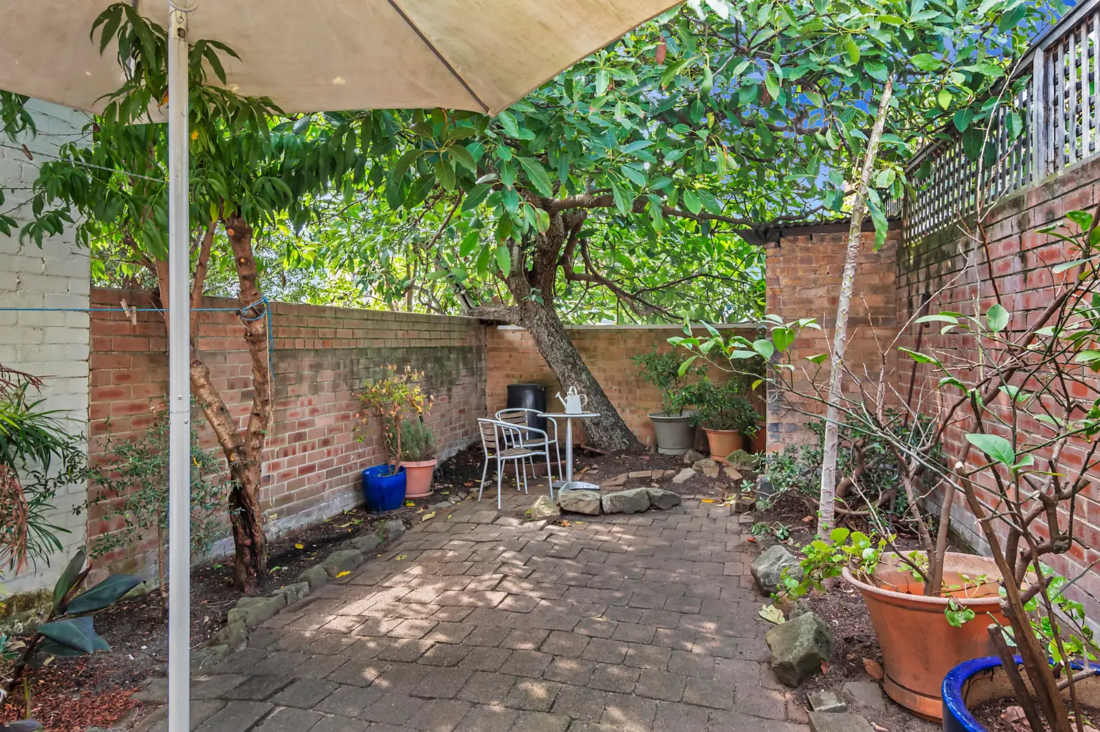 25 Union Street, Paddington Sold by Bradfield Badgerfox - image 1