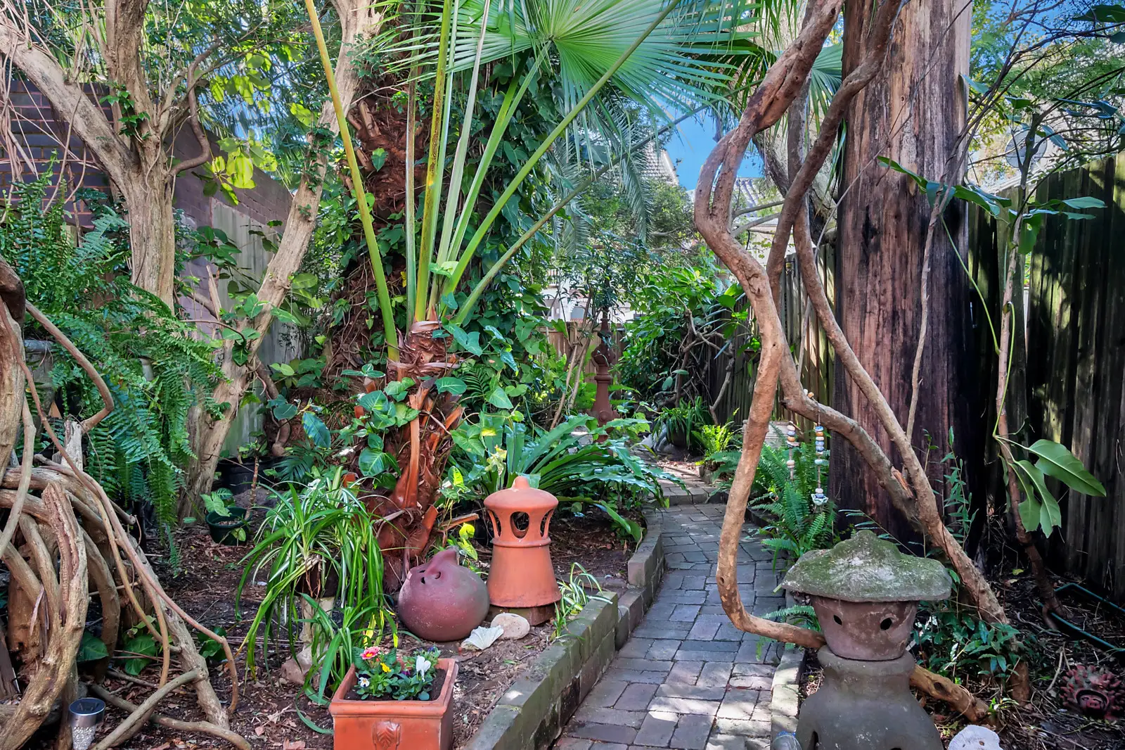 40 William Street, Double Bay Sold by Bradfield Badgerfox - image 1