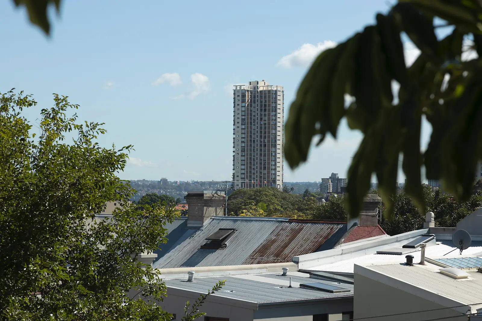 170 Windsor Street, Paddington Sold by Bradfield Badgerfox - image 1