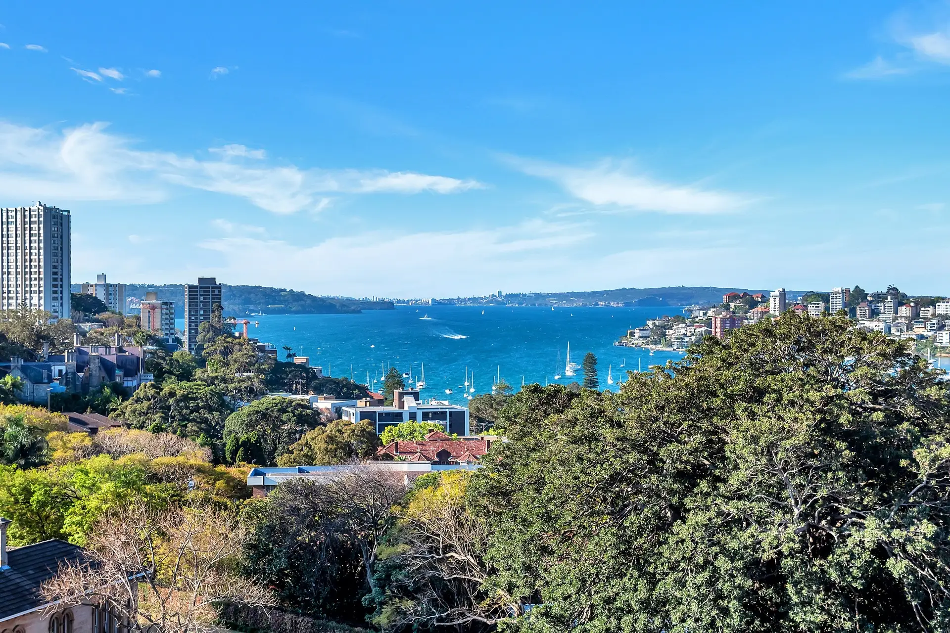 1204/180 Ocean Street, Edgecliff Sold by Bradfield Badgerfox - image 1