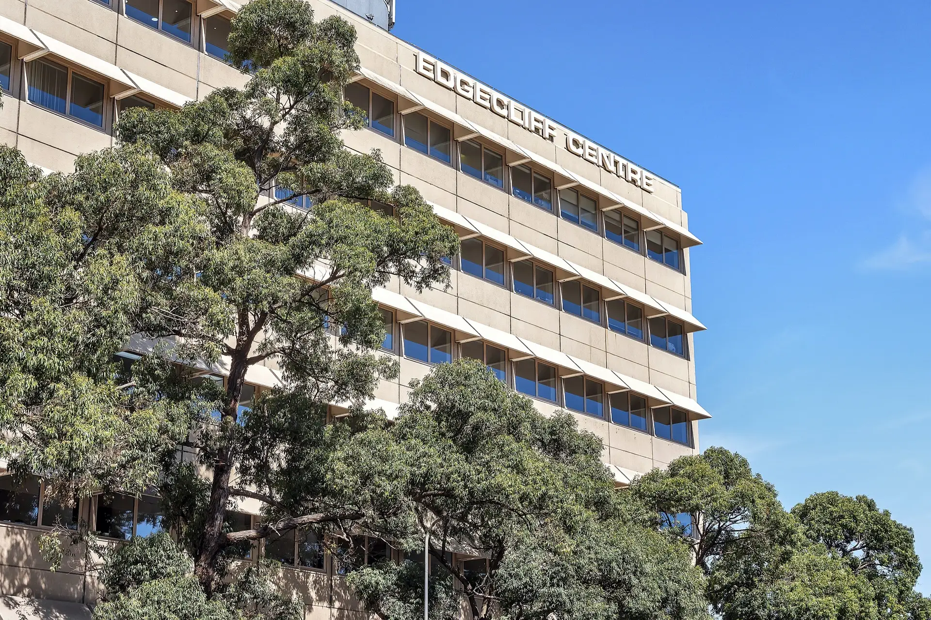 1204/180 Ocean Street, Edgecliff Sold by Bradfield Badgerfox - image 1