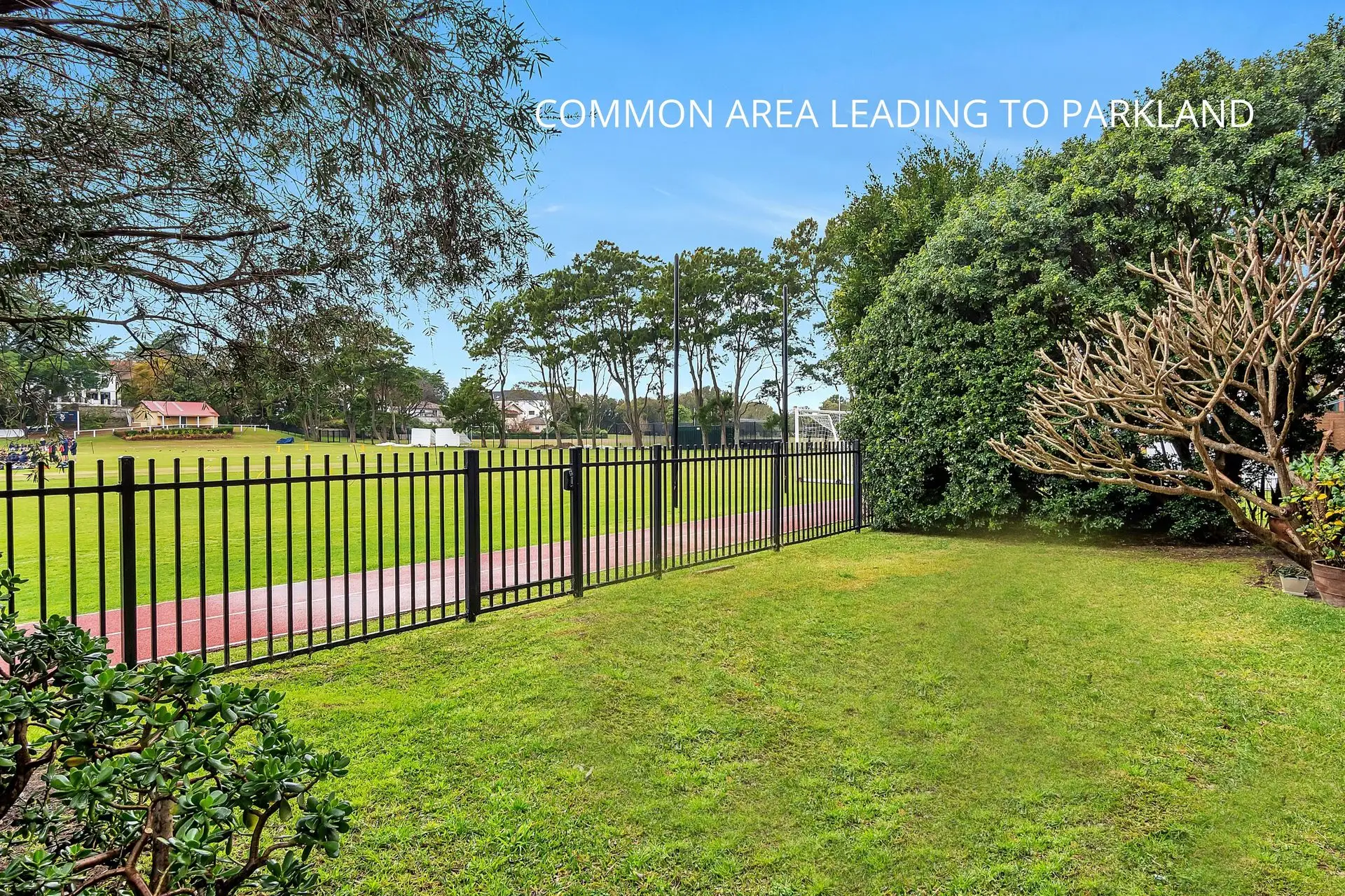 4/14 Manion Avenue, Rose Bay Sold by Bradfield Badgerfox - image 1