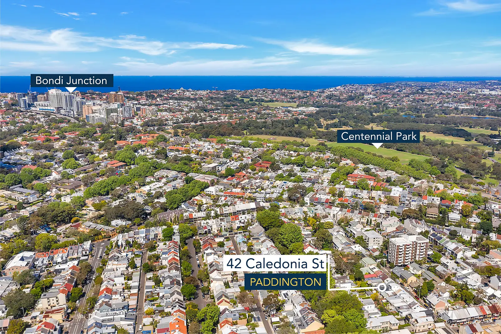 42 Caledonia Street, Paddington Sold by Bradfield Badgerfox - image 1