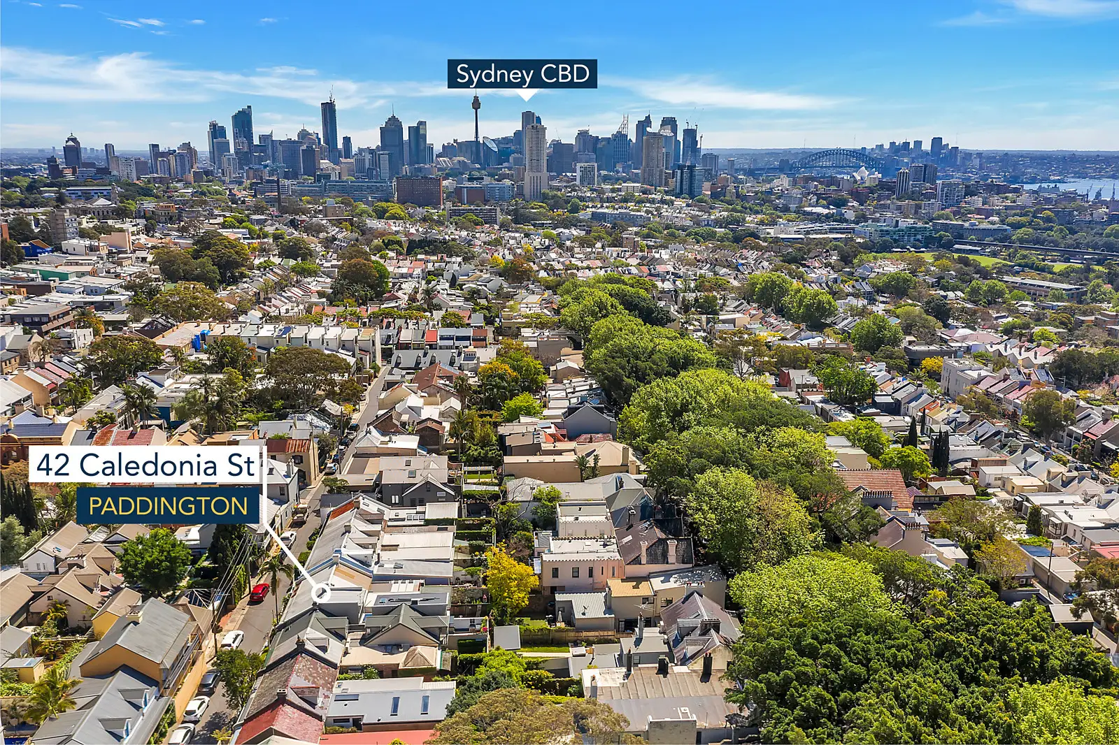 42 Caledonia Street, Paddington Sold by Bradfield Badgerfox - image 1